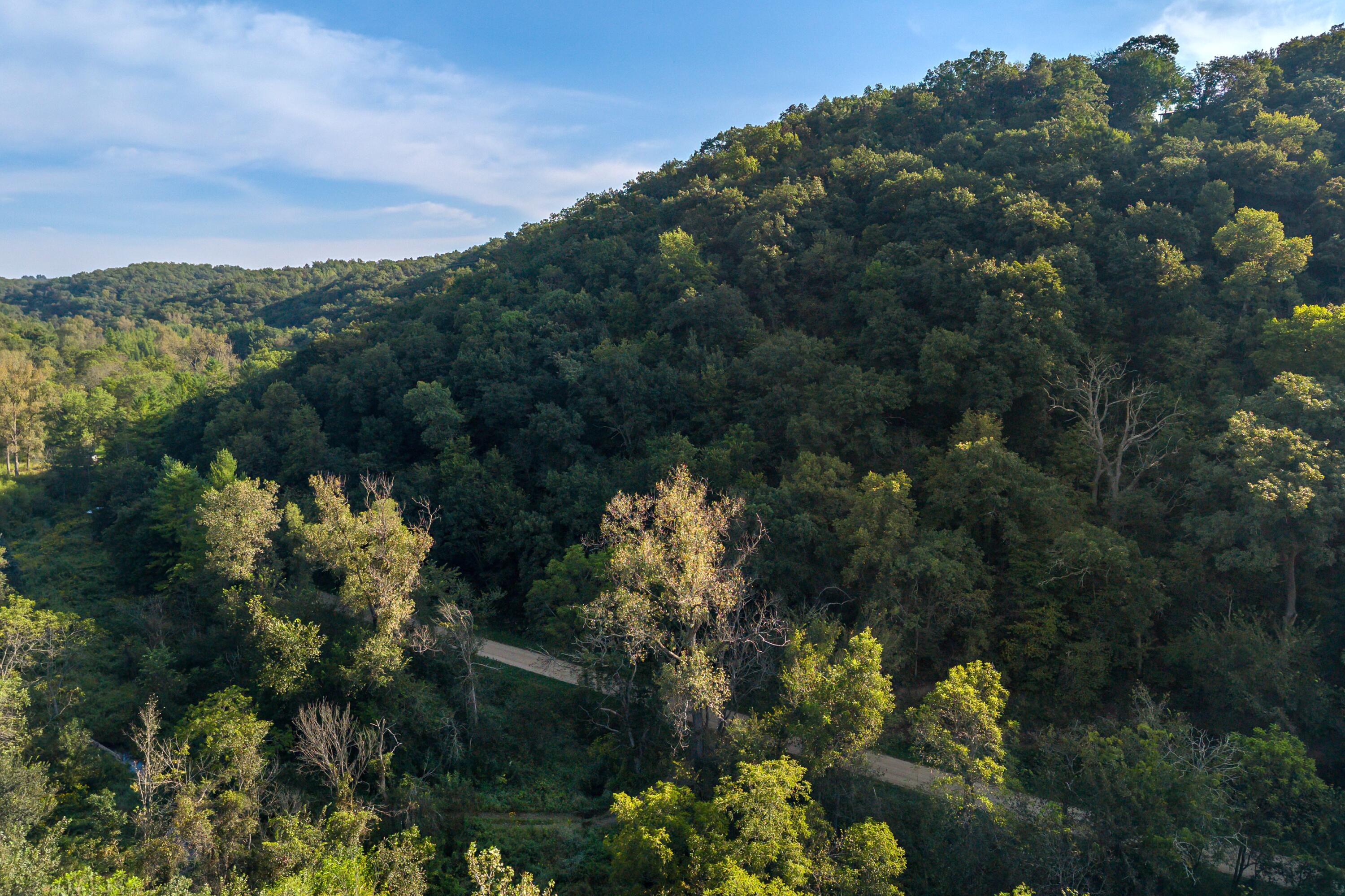 Aerial view of wooded hills crossed by a winding gravel road.
