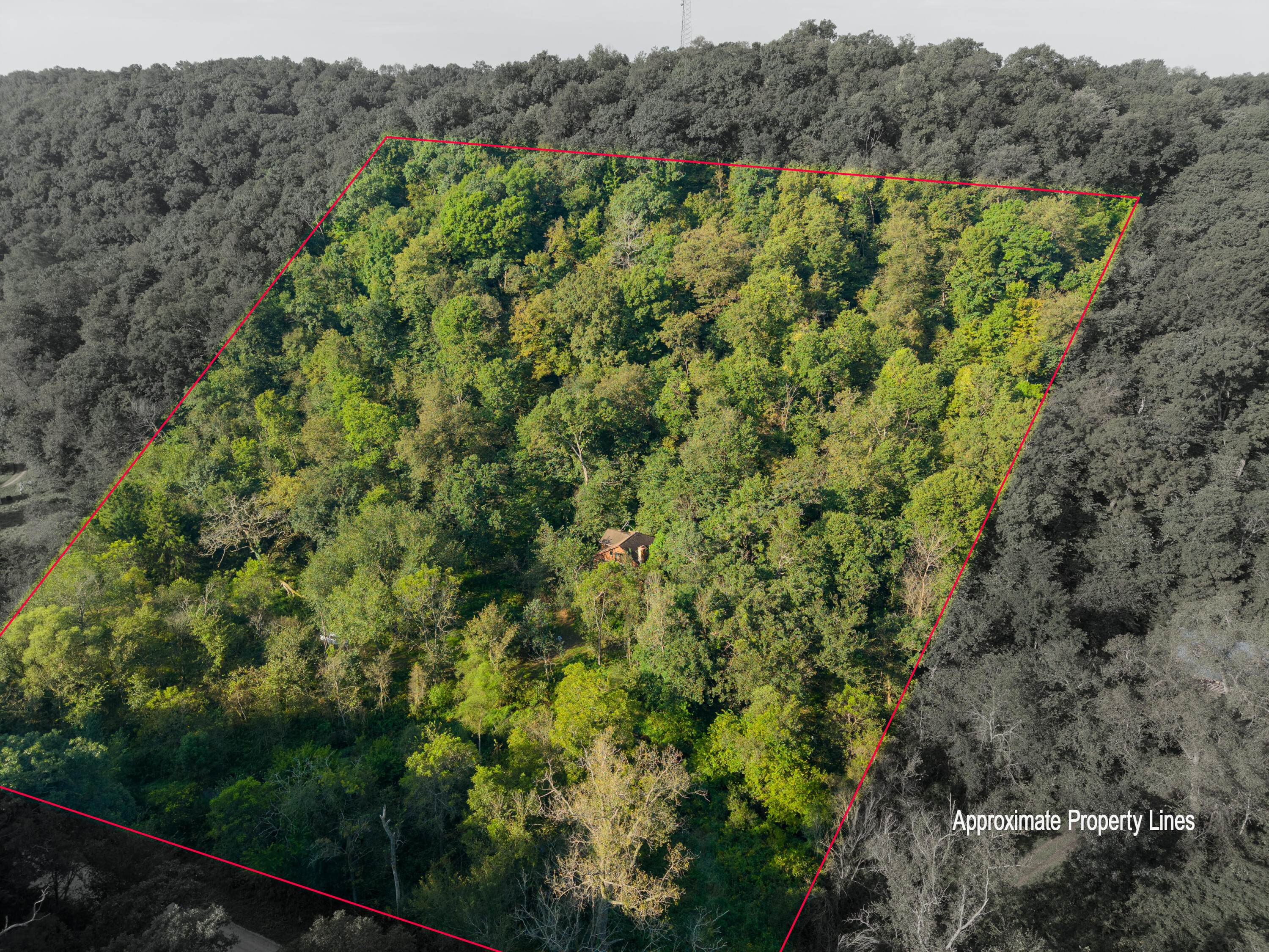 Aerial view of a wooded property outlined in red, with a small building among the trees.