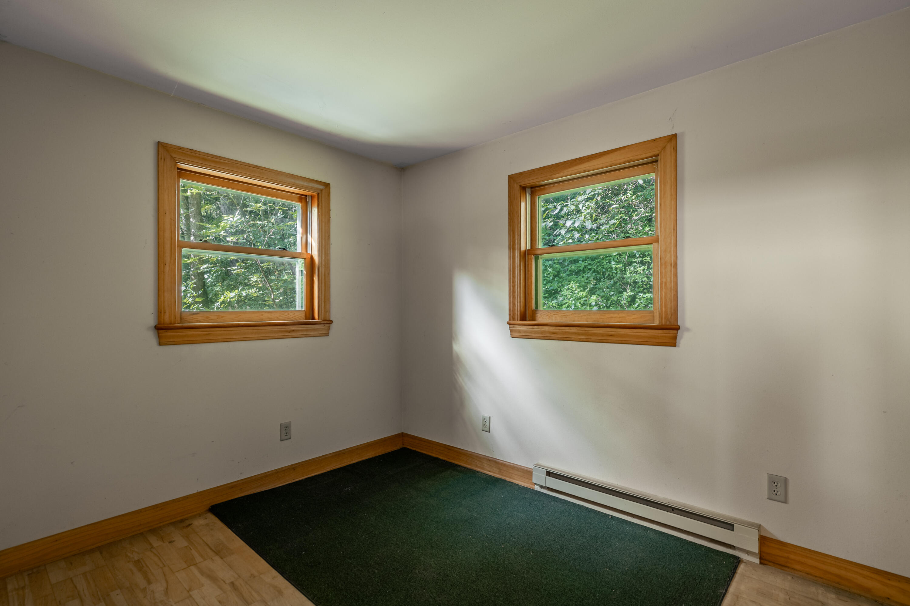 Empty room with two wood-trimmed windows, a dark green carpet, and a baseboard heater.