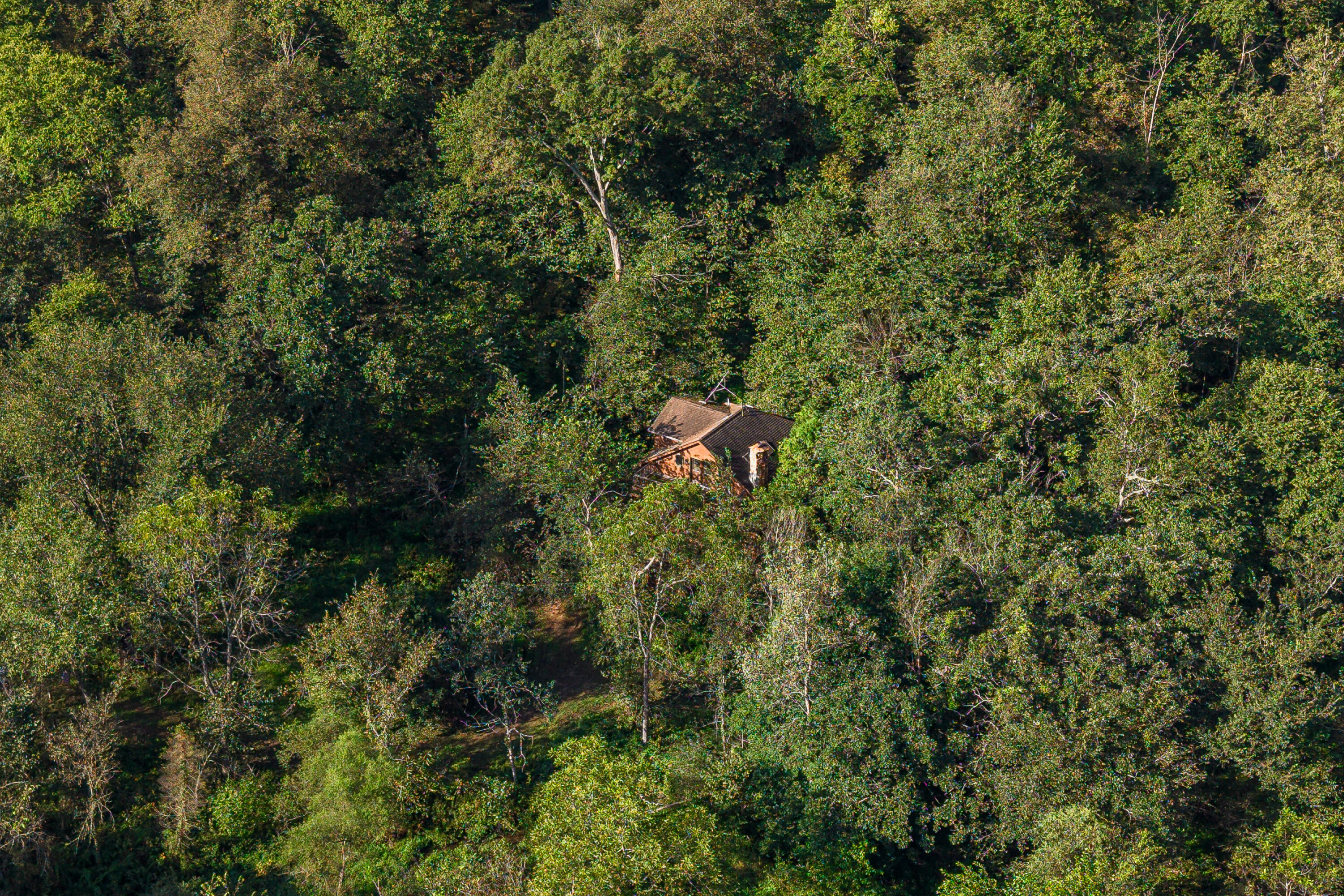 Aerial view of a house surrounded by dense woodland, with a narrow clearing leading to it.