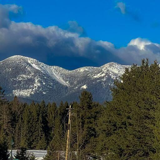 275 Blackberry Loop A