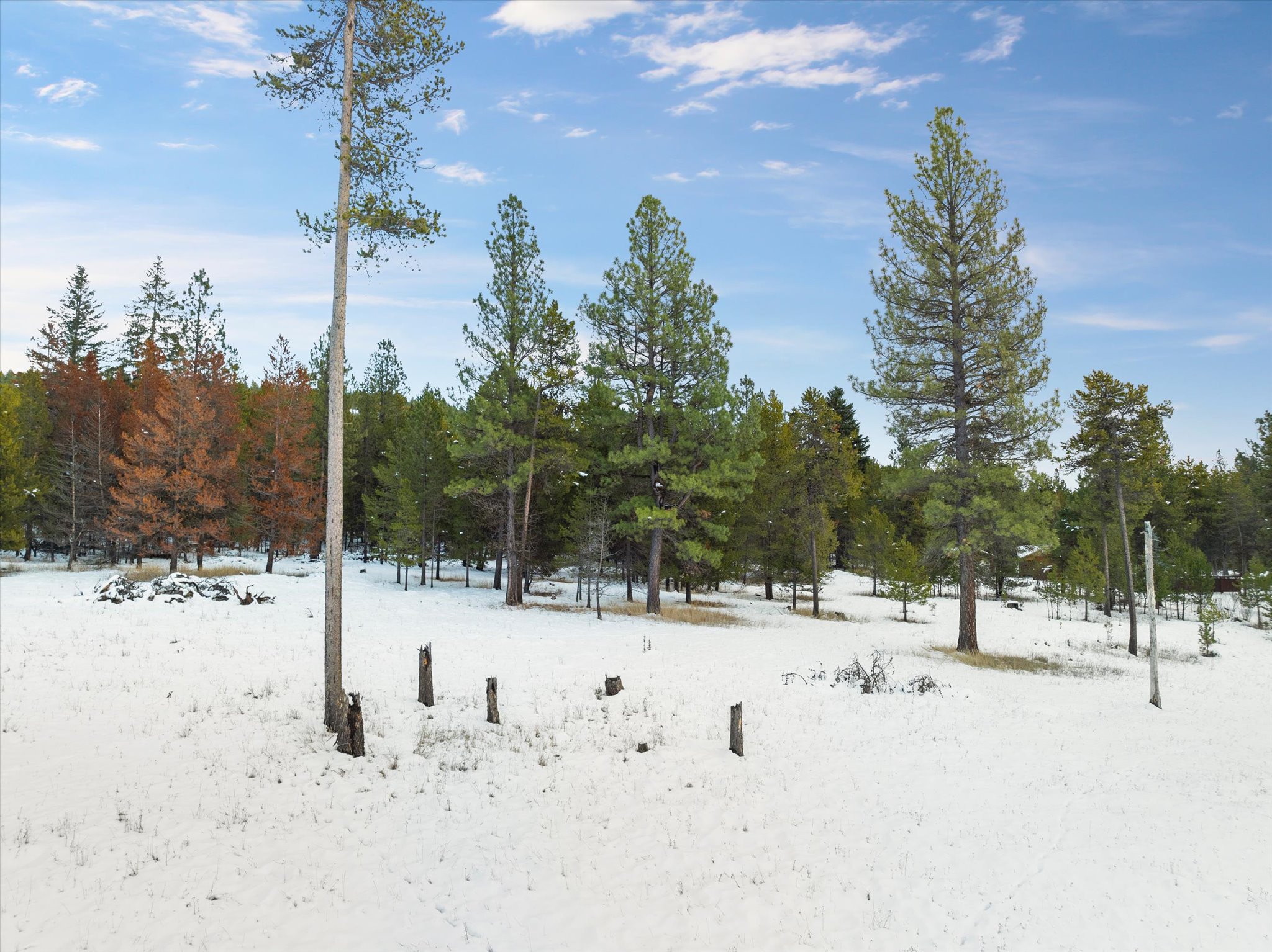 3140 Lower Lost Prairie Road