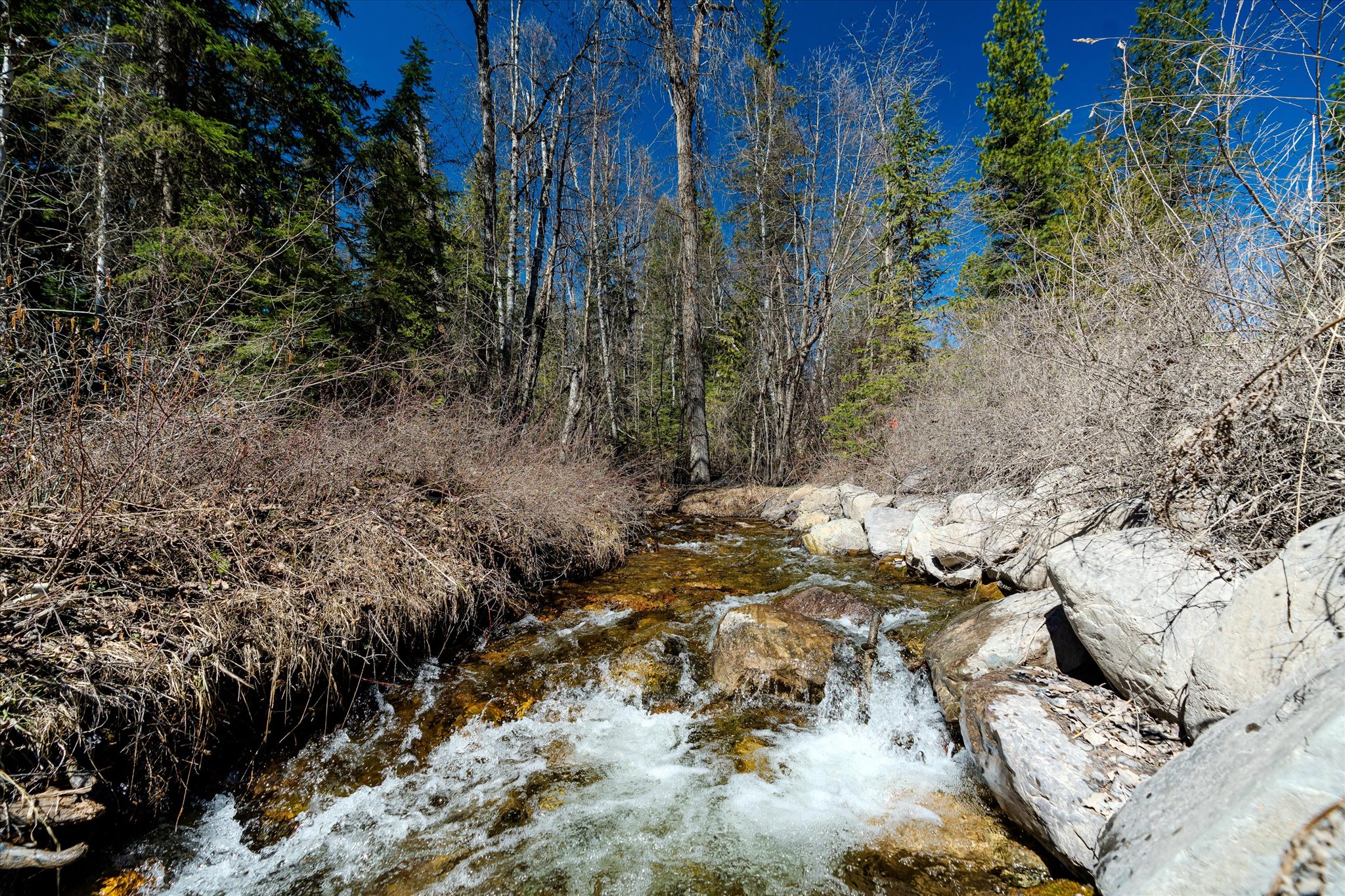 343 Trumbull Canyon Road