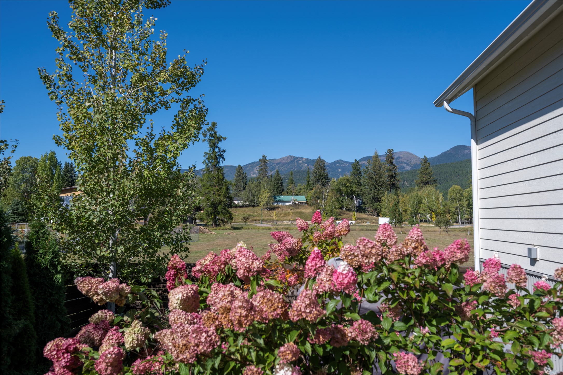 736 Cottonwood Court