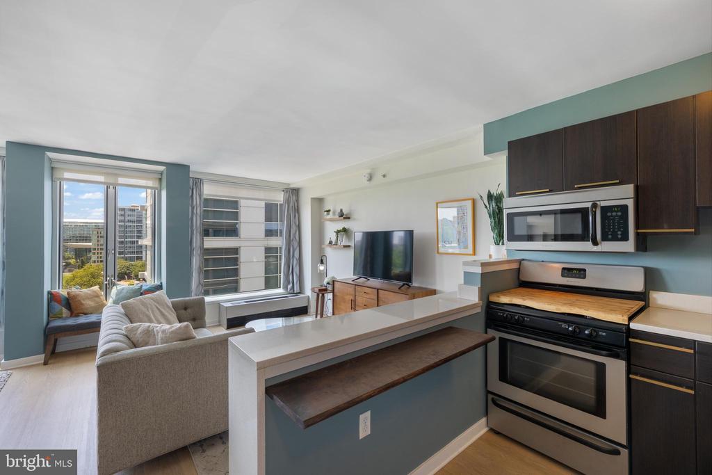 1101 3RD STREET SW 705