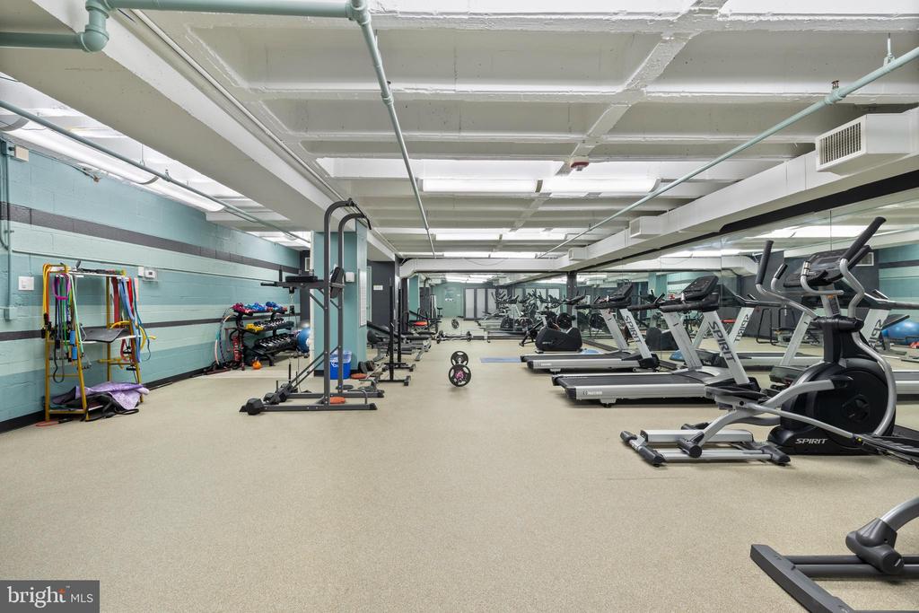 1101 3RD STREET SW 705