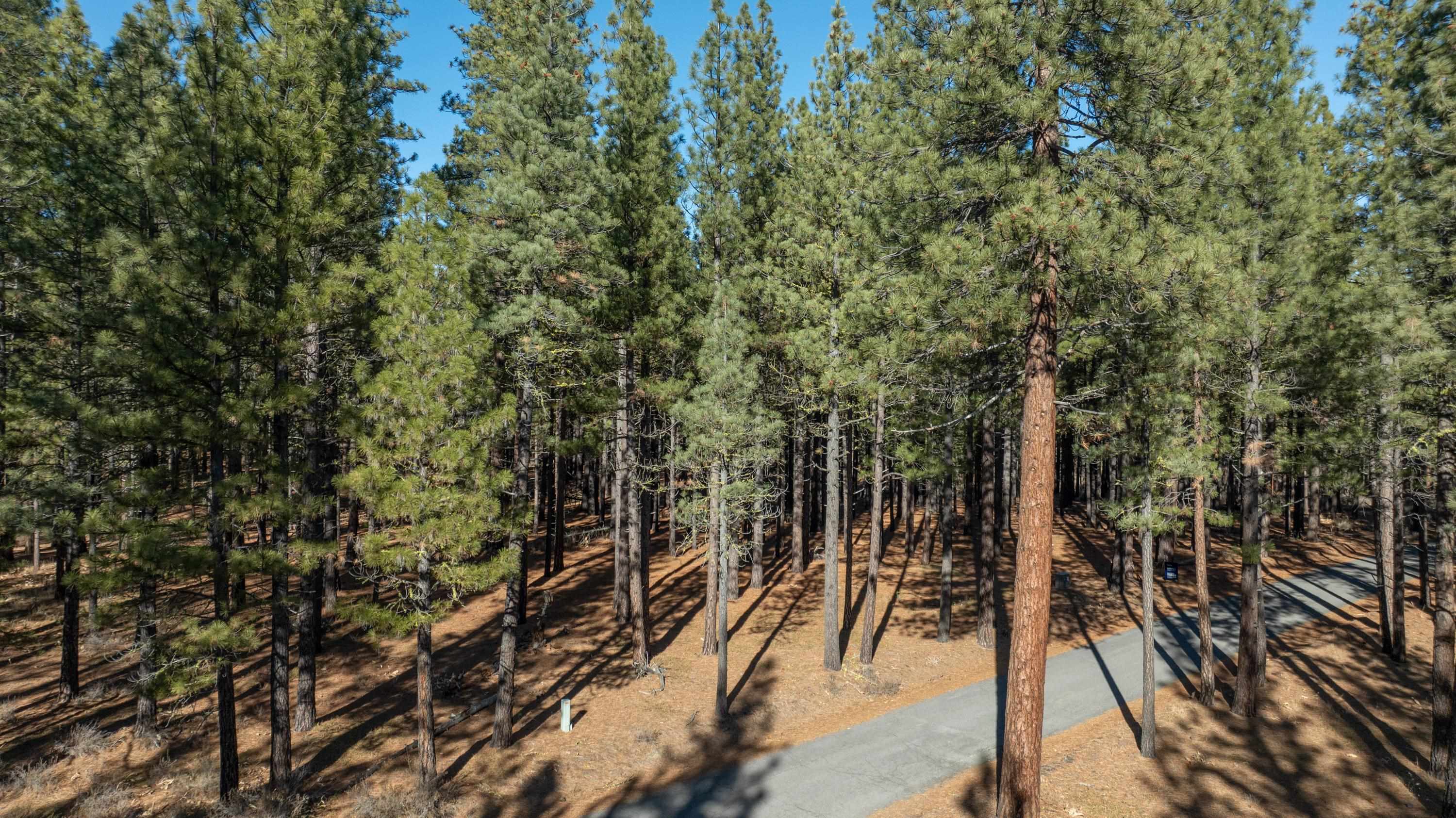 4955 Clio State 40A Road