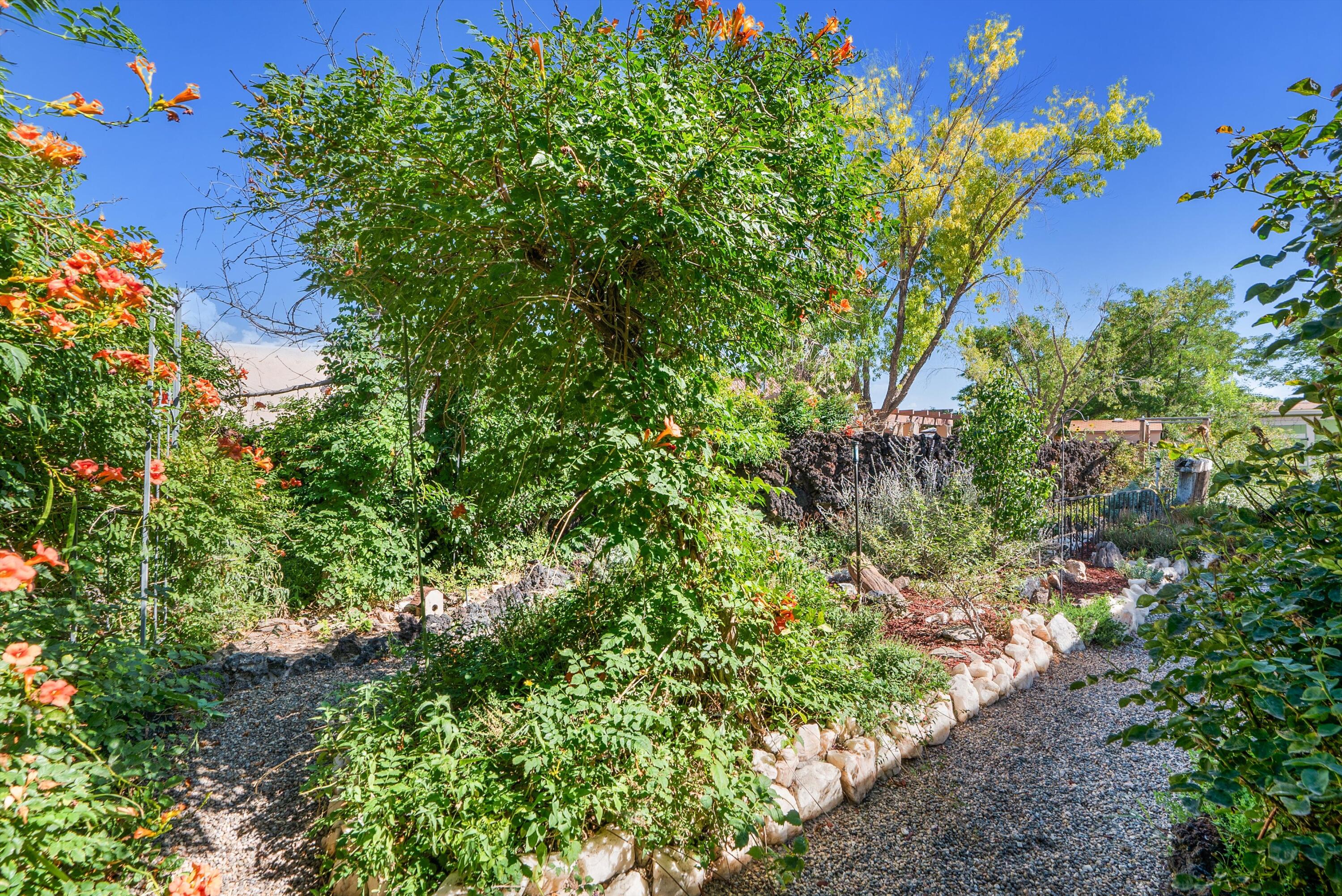 300 MONTANA WELLS Road NE