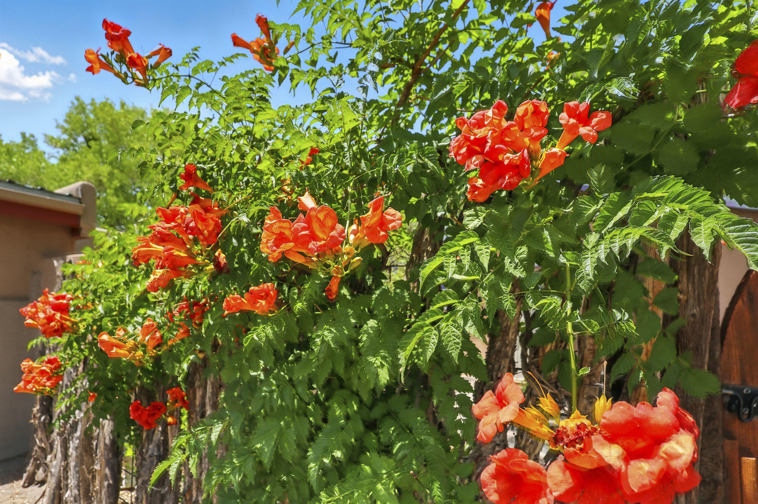 135 B SICHLER Road SW