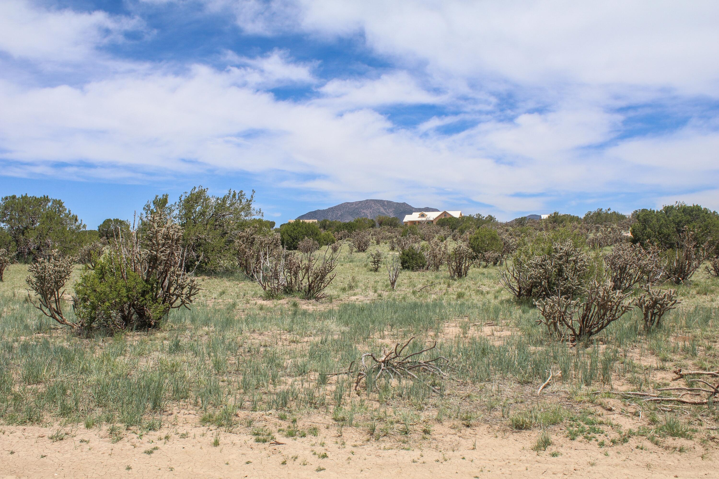 1 Taluca Court