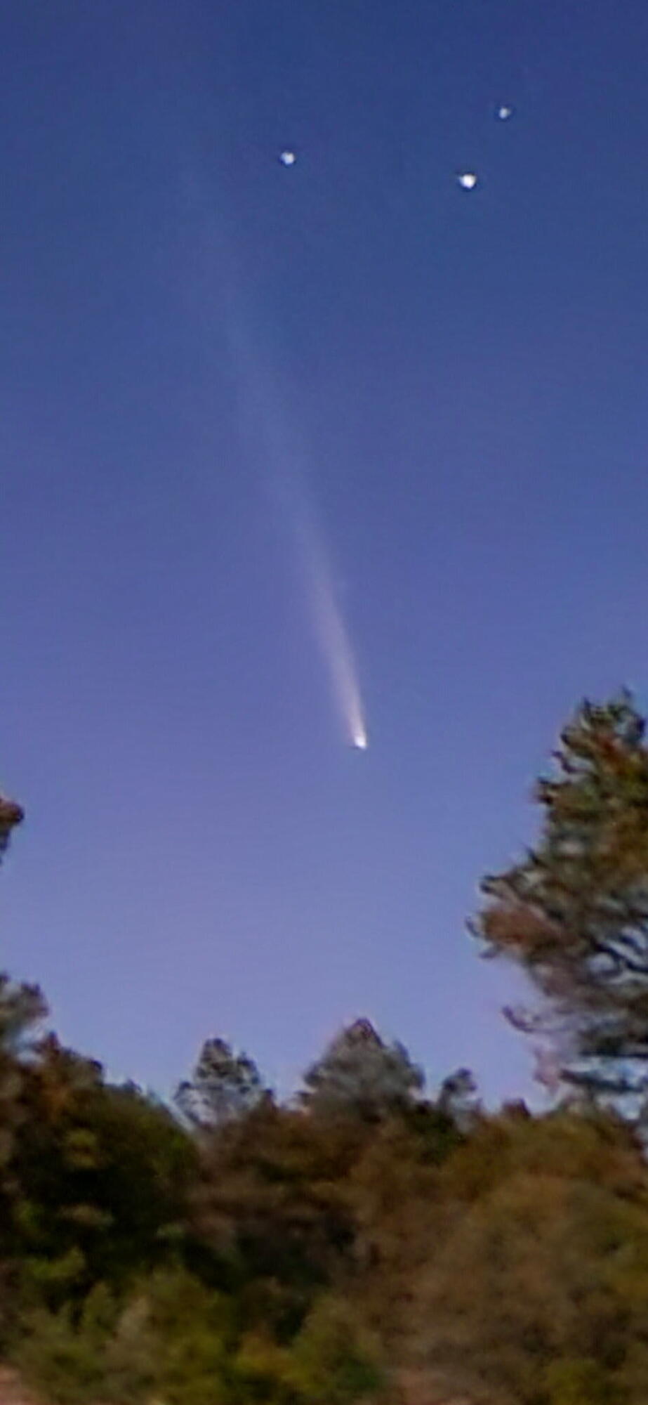 60 Celso Springs lane