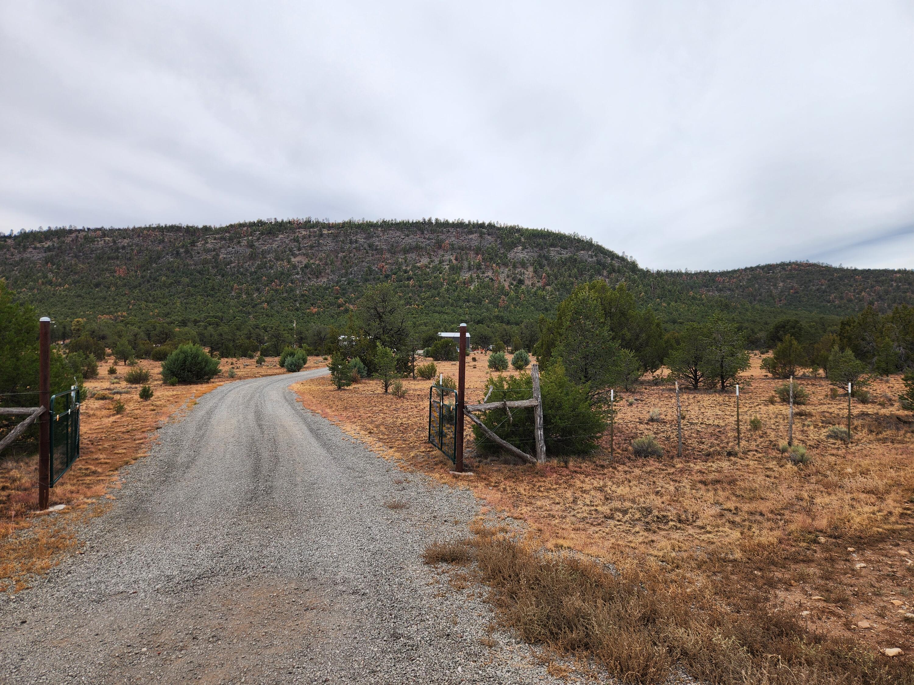 60 Celso Springs lane