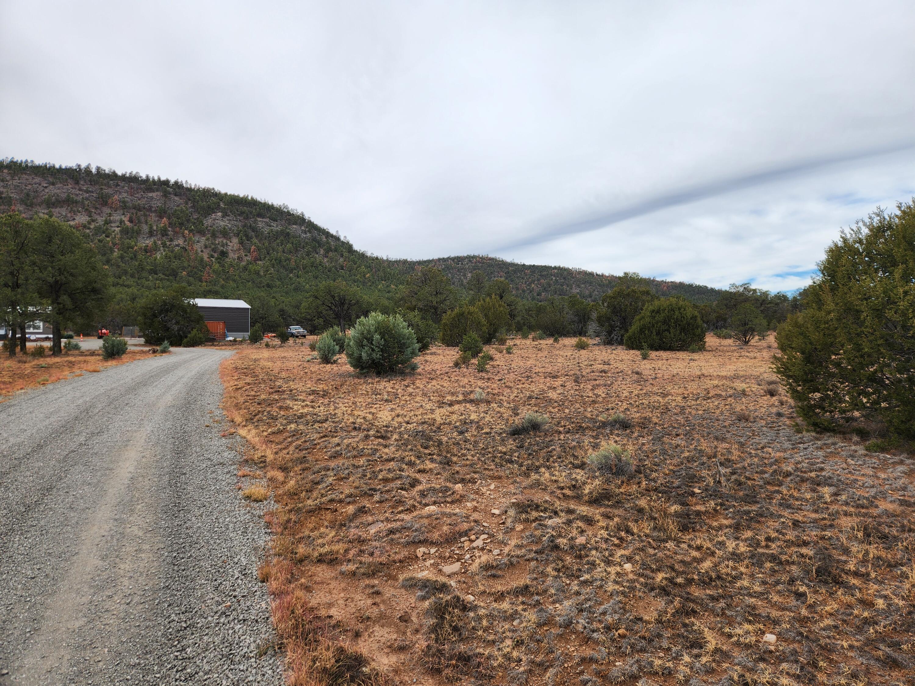 60 Celso Springs lane