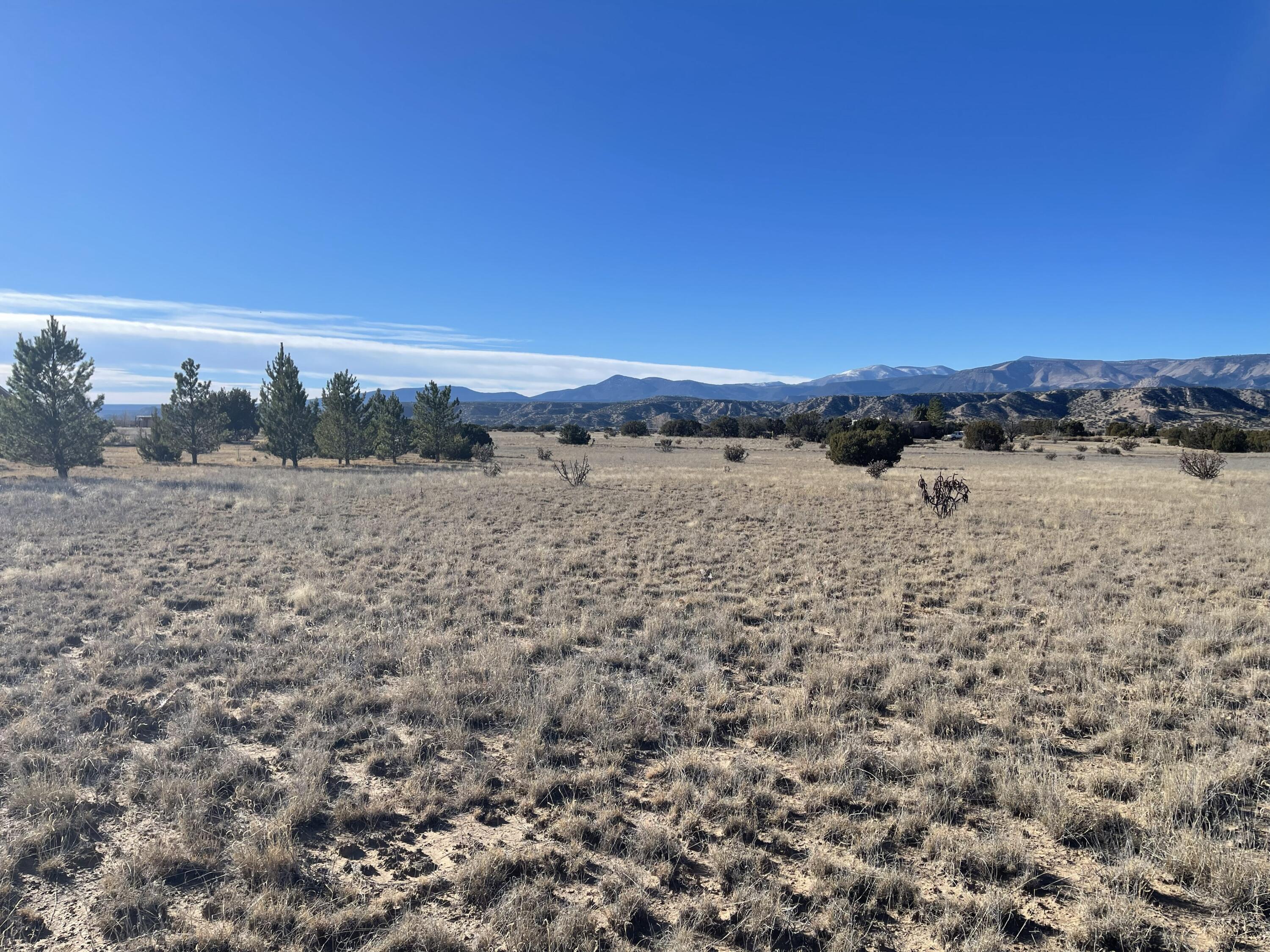 Private Drive 1613B Lot 17