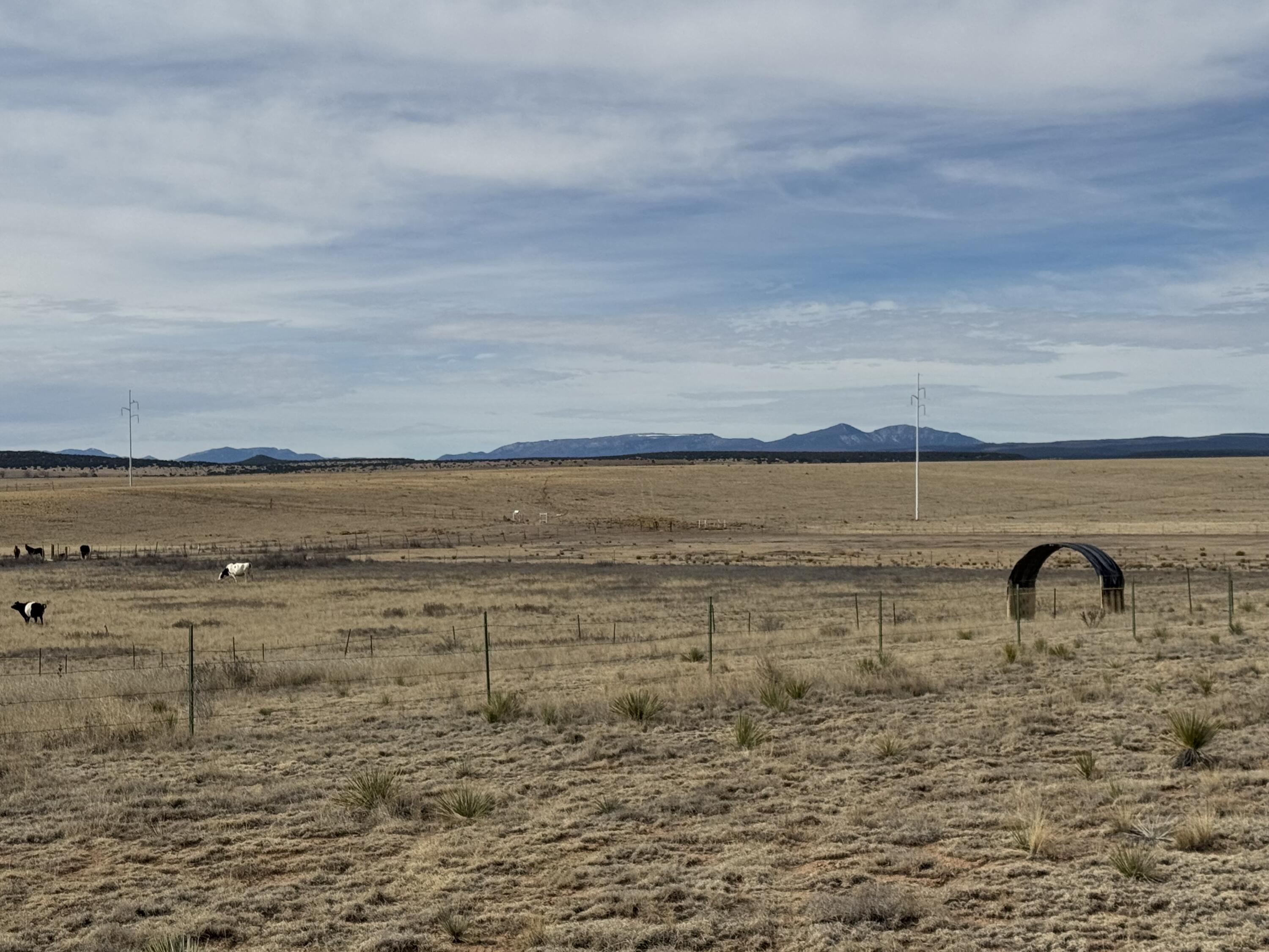 TBD Rabbit Run Court