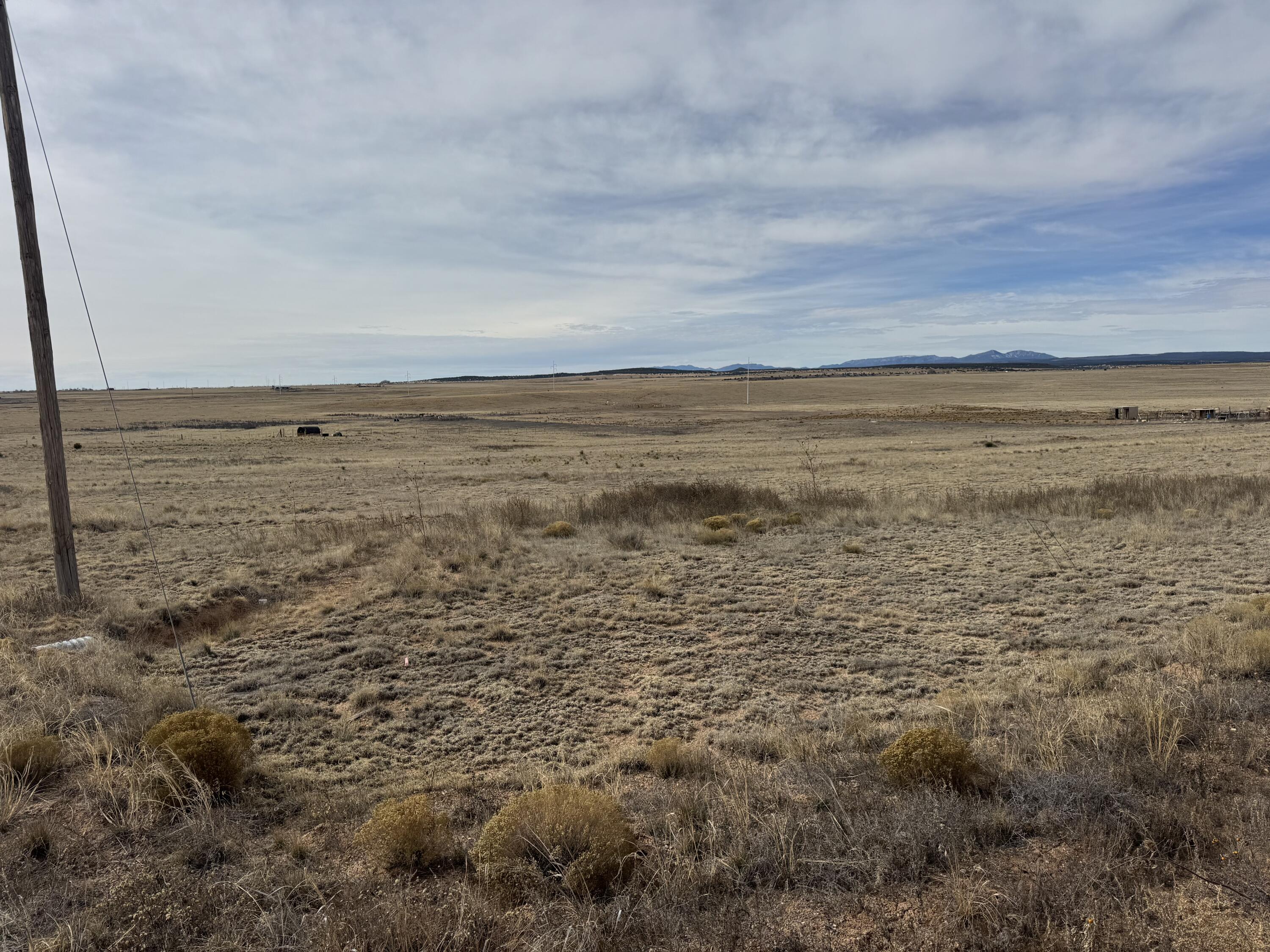 TBD Rabbit Run Court