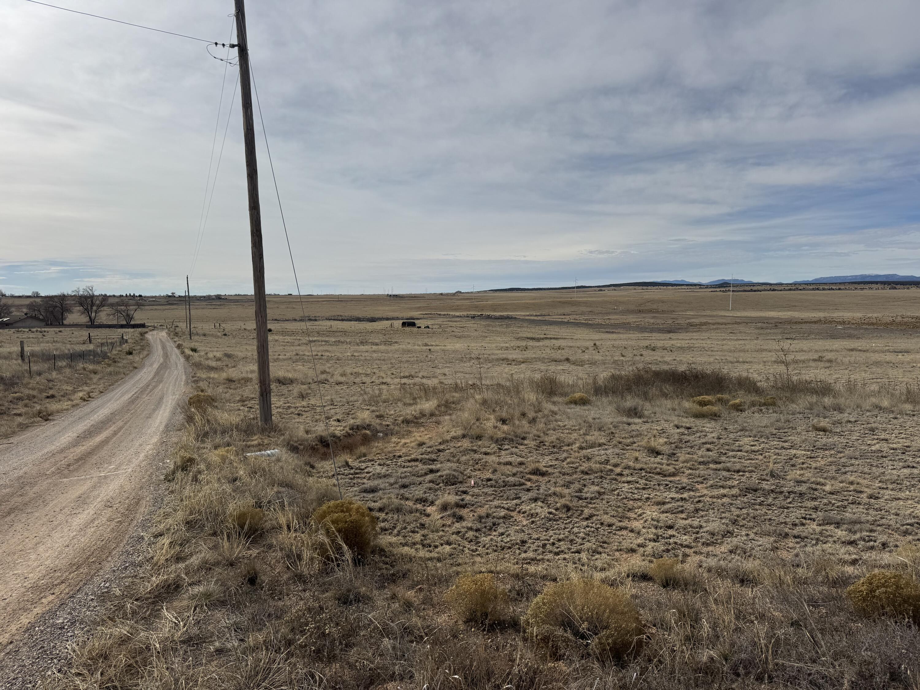 TBD Rabbit Run Court