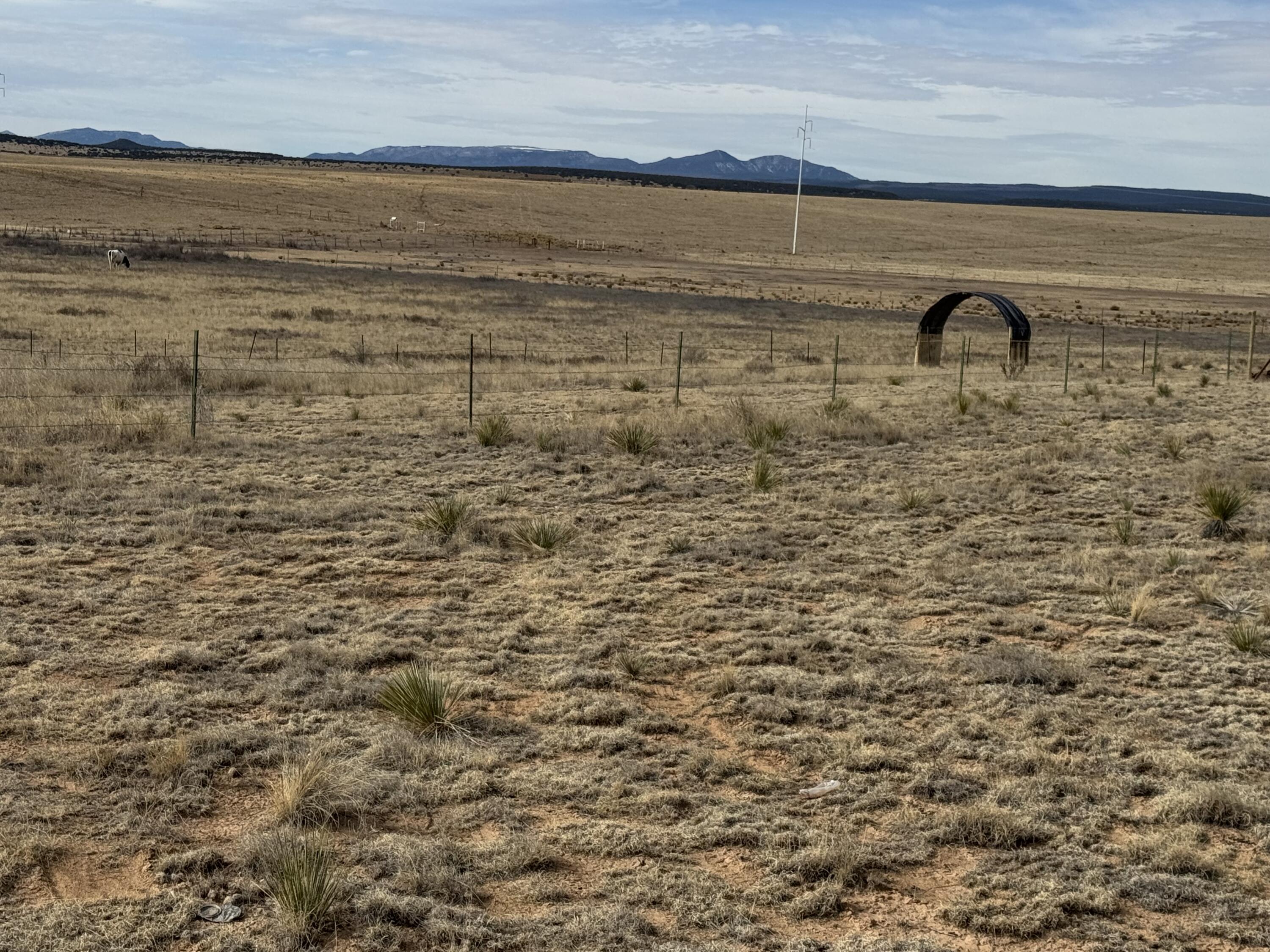 TBD Rabbit Run Court