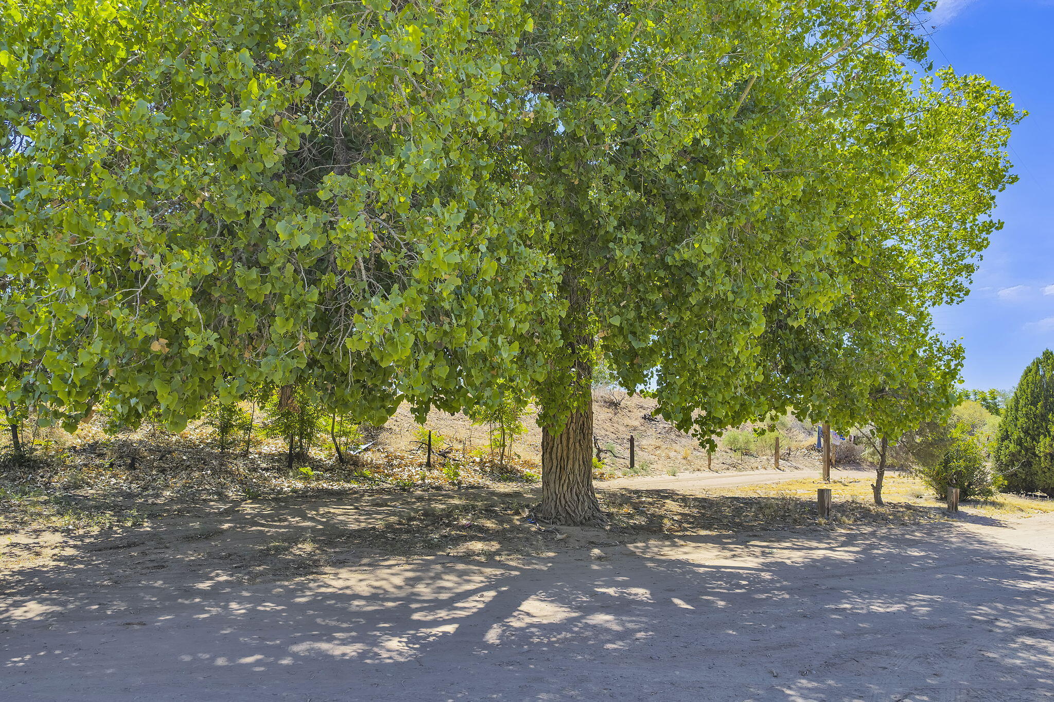 211 La Ladera Road