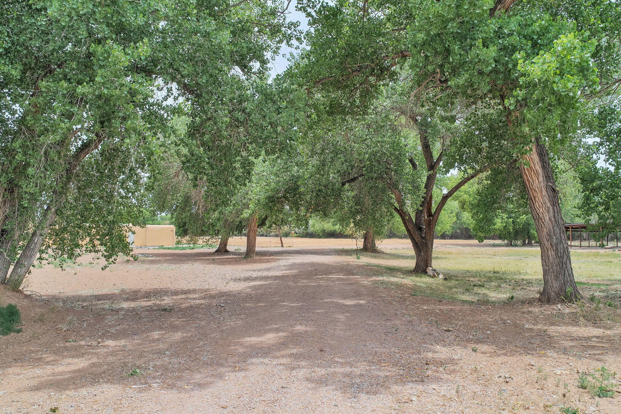 22 Paizalas Drive