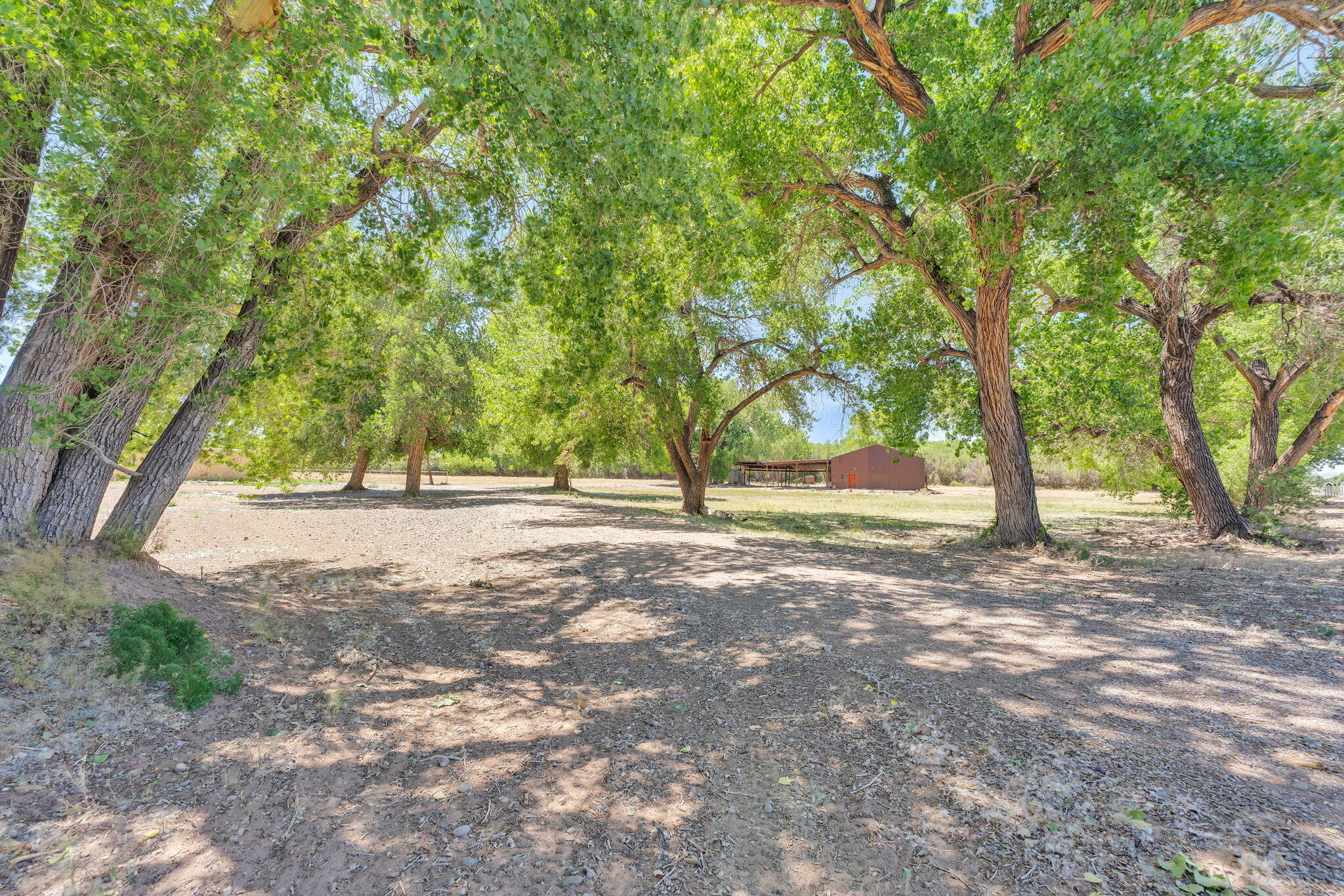 22 Paizalas Drive