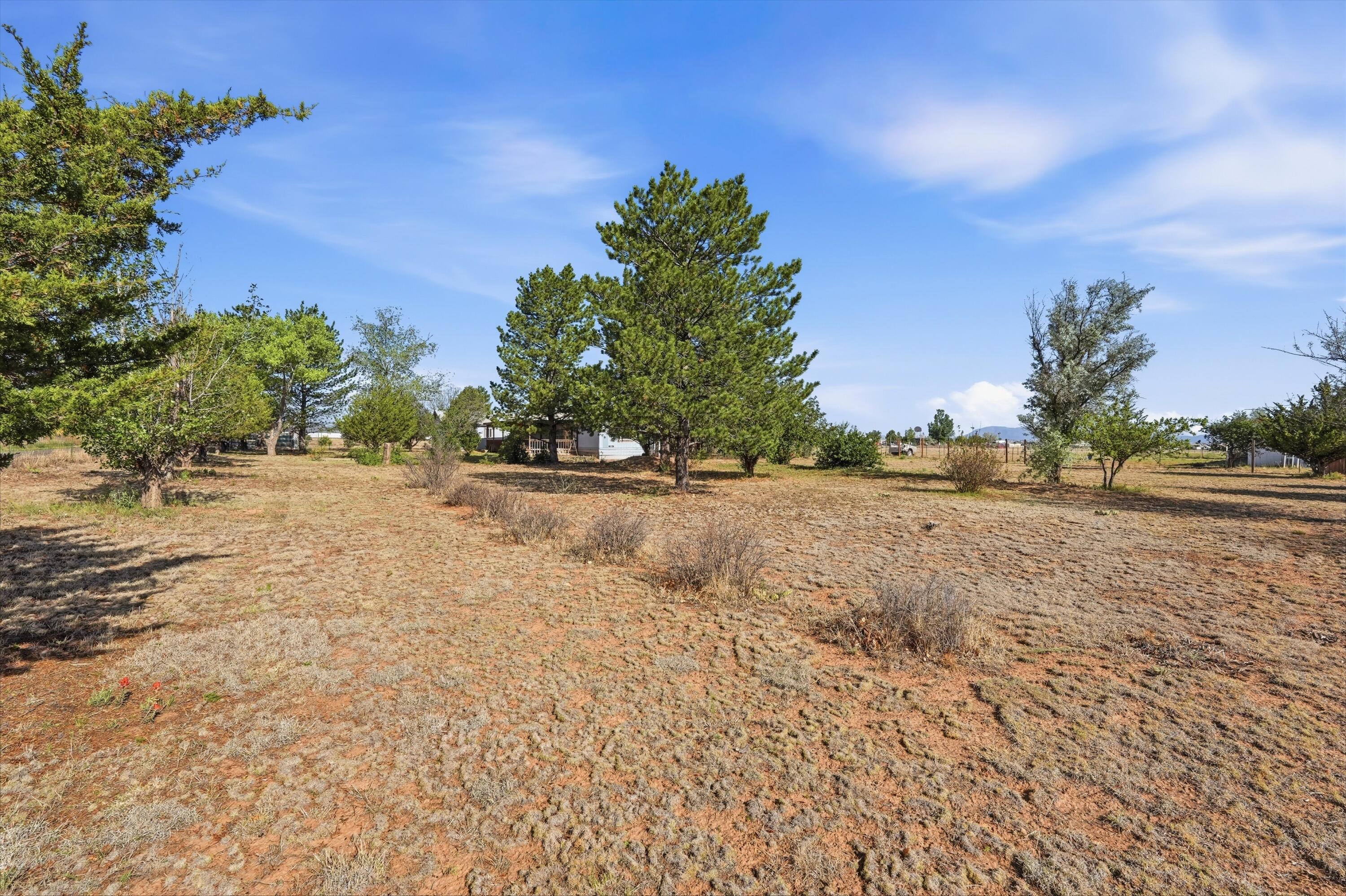 161 McNabb Road