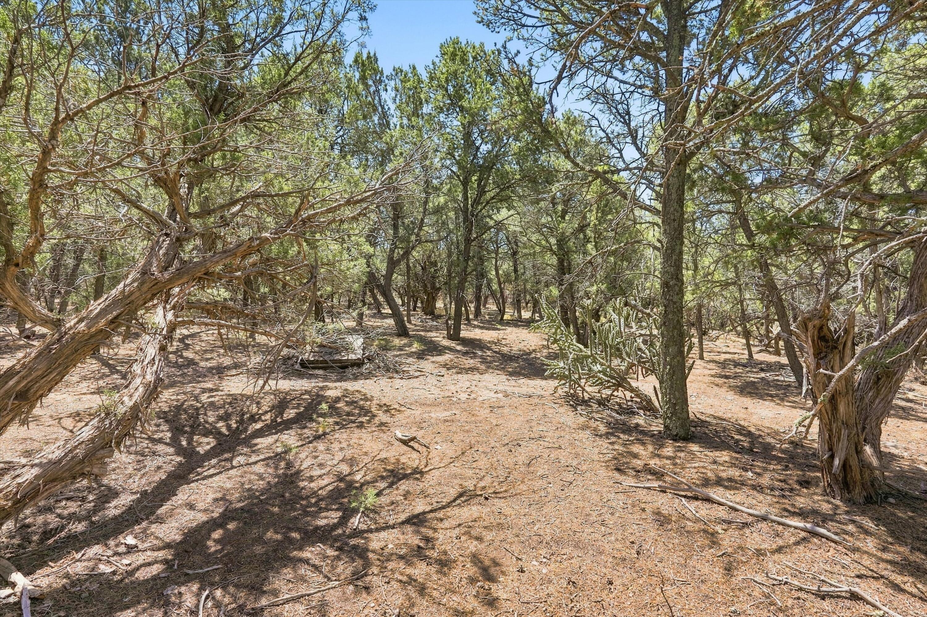 464 Sedillo Road