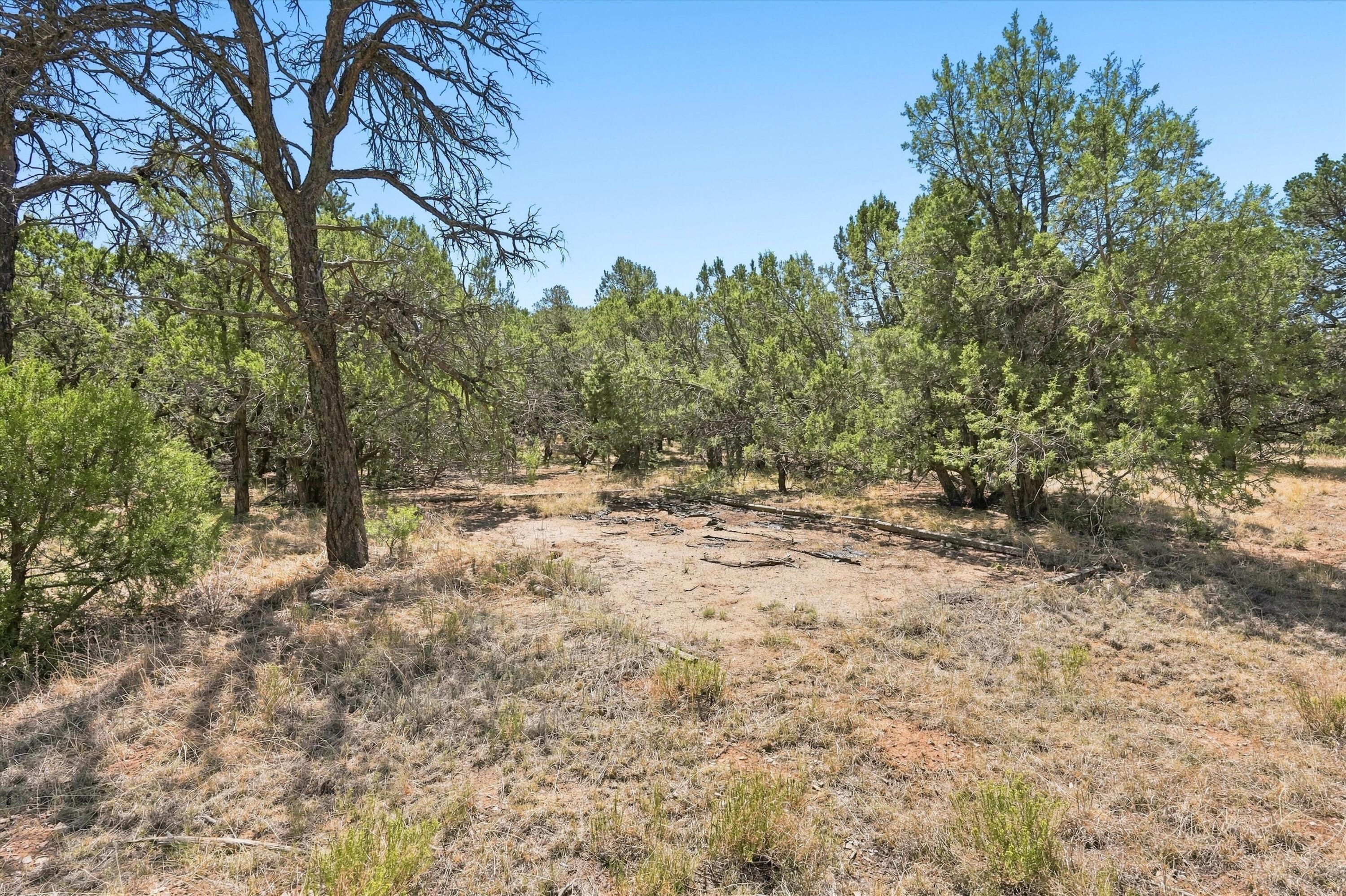 464 Sedillo Road