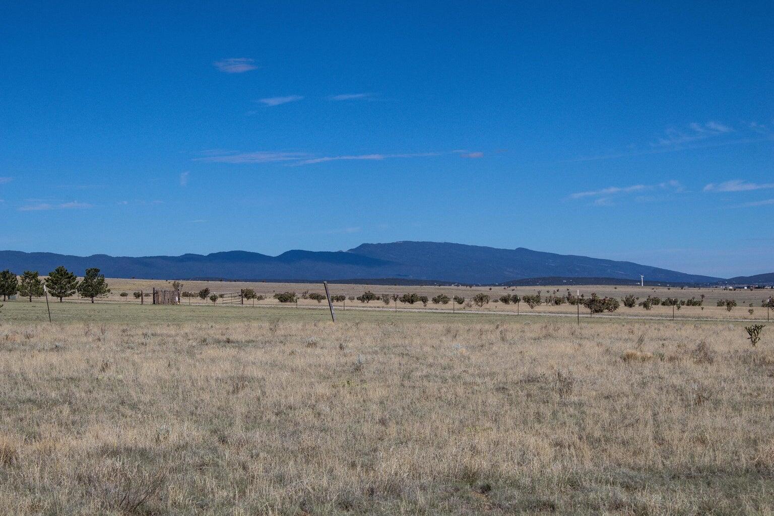 Open grassy land with a fence and distant mountain range beneath a clear blue sky.