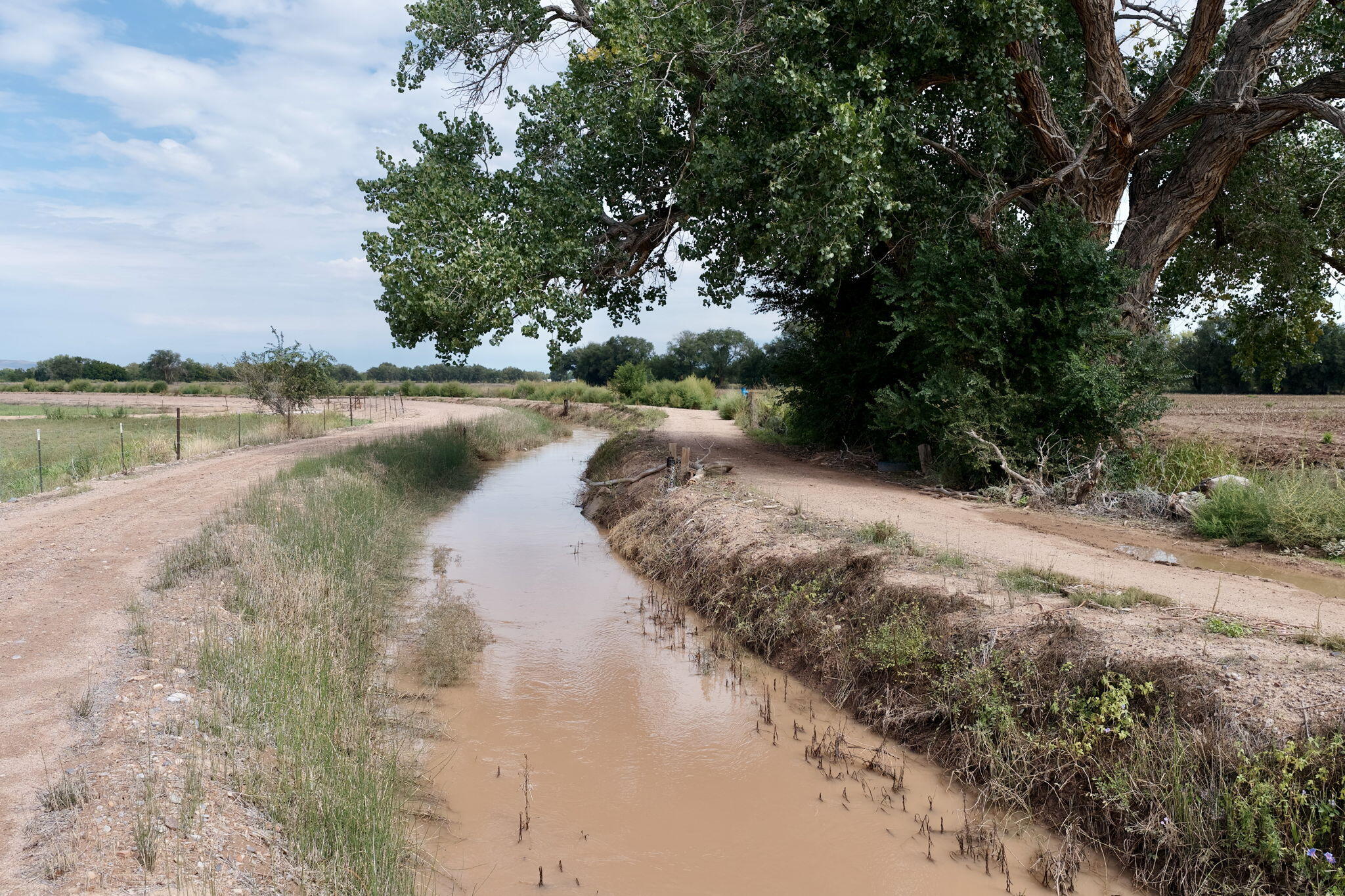 Oso Road