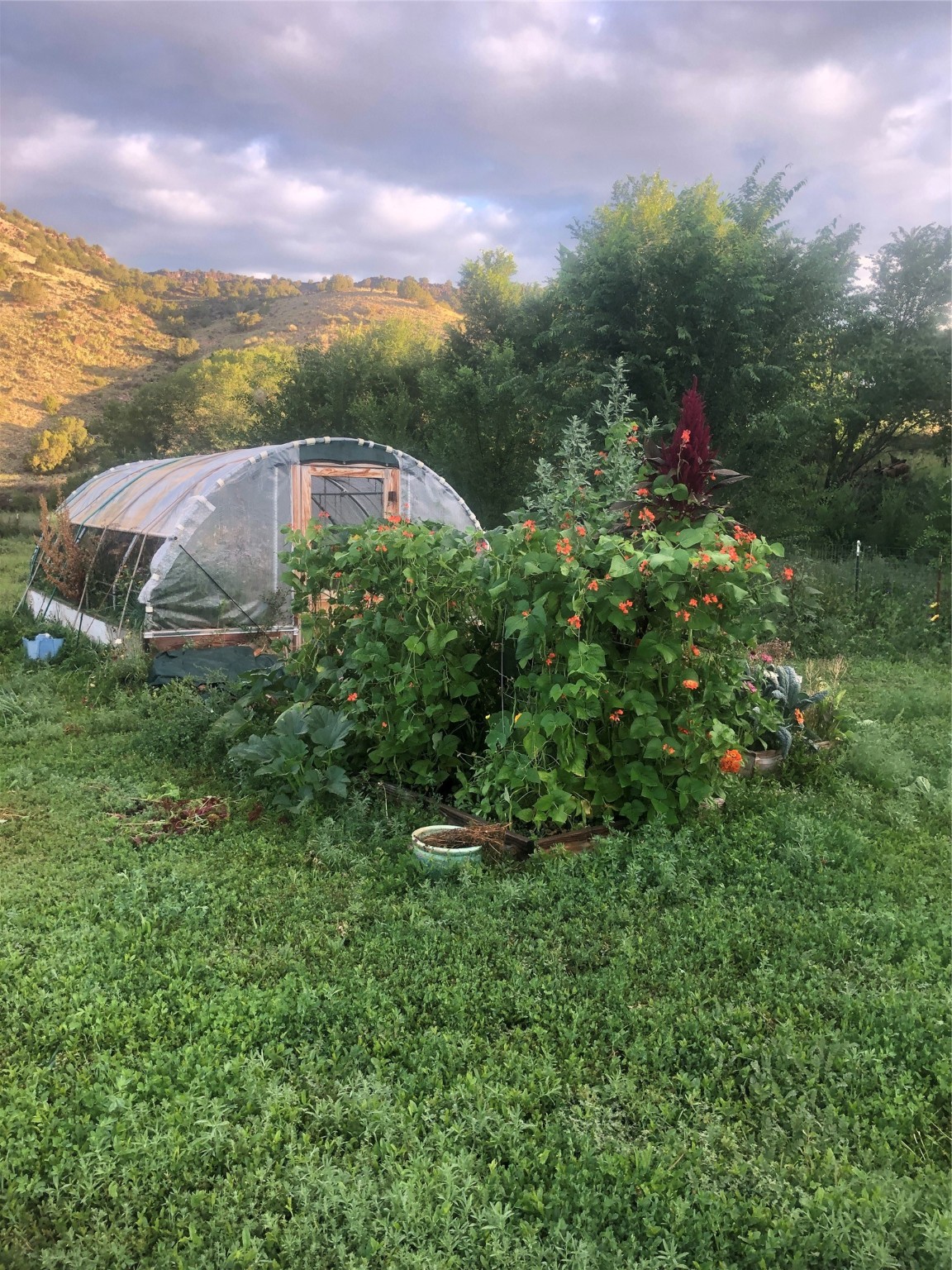 #10 Private Drive 1087