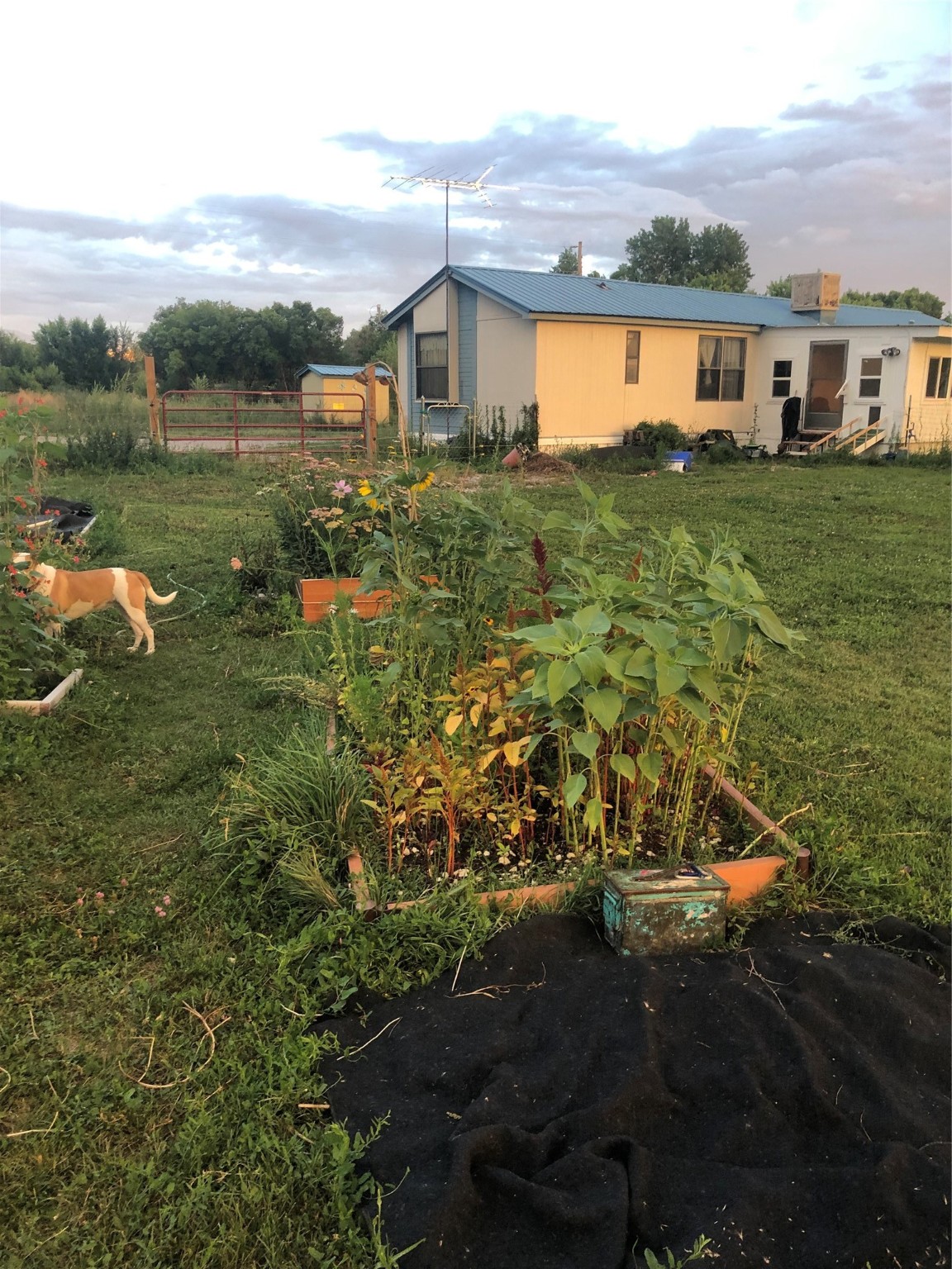 #10 Private Drive 1087