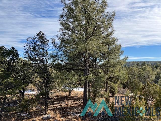 4 Romeroville Frontage Road Road