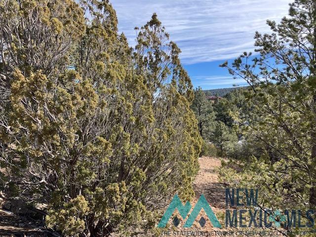 4 Romeroville Frontage Road Road