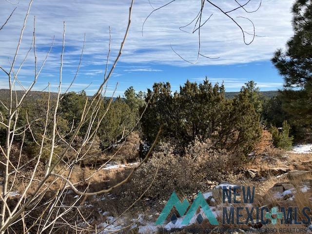 4 Romeroville Frontage Road Road