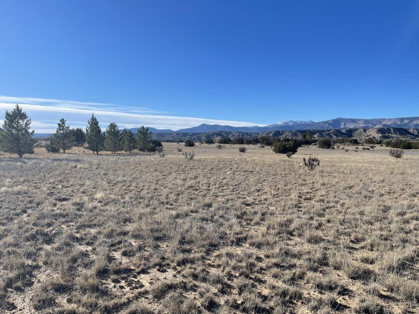 17 Private Drive 1613B