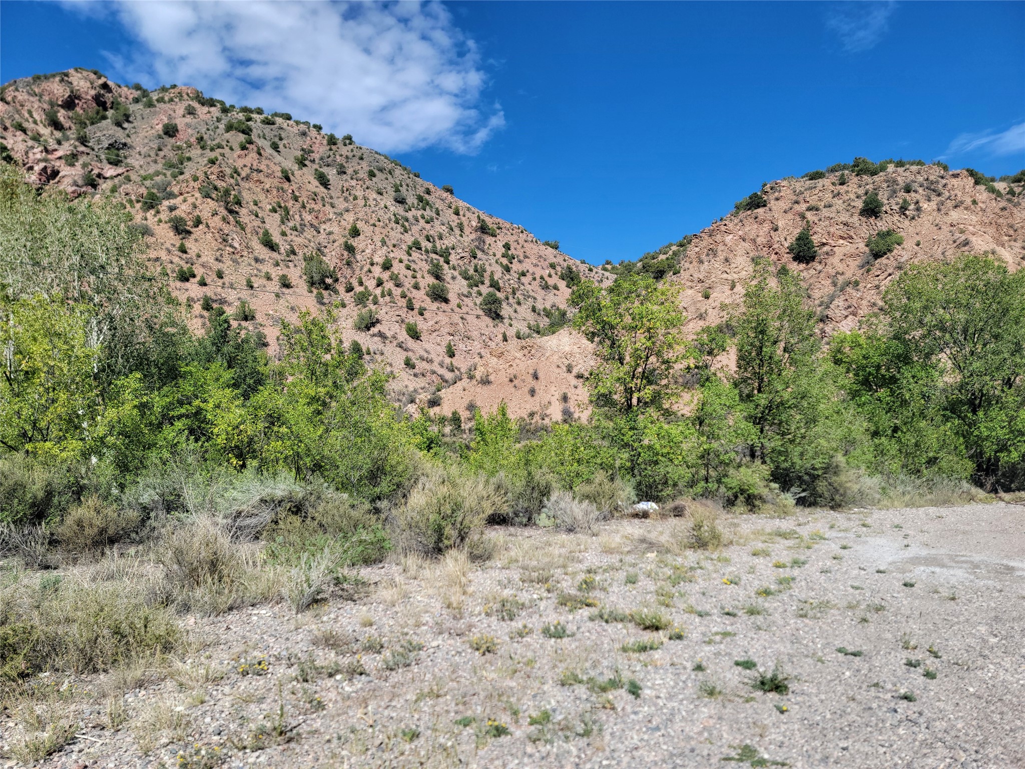 Rocky hills rise behind scrub and gravelly ground beneath a bright blue sky.