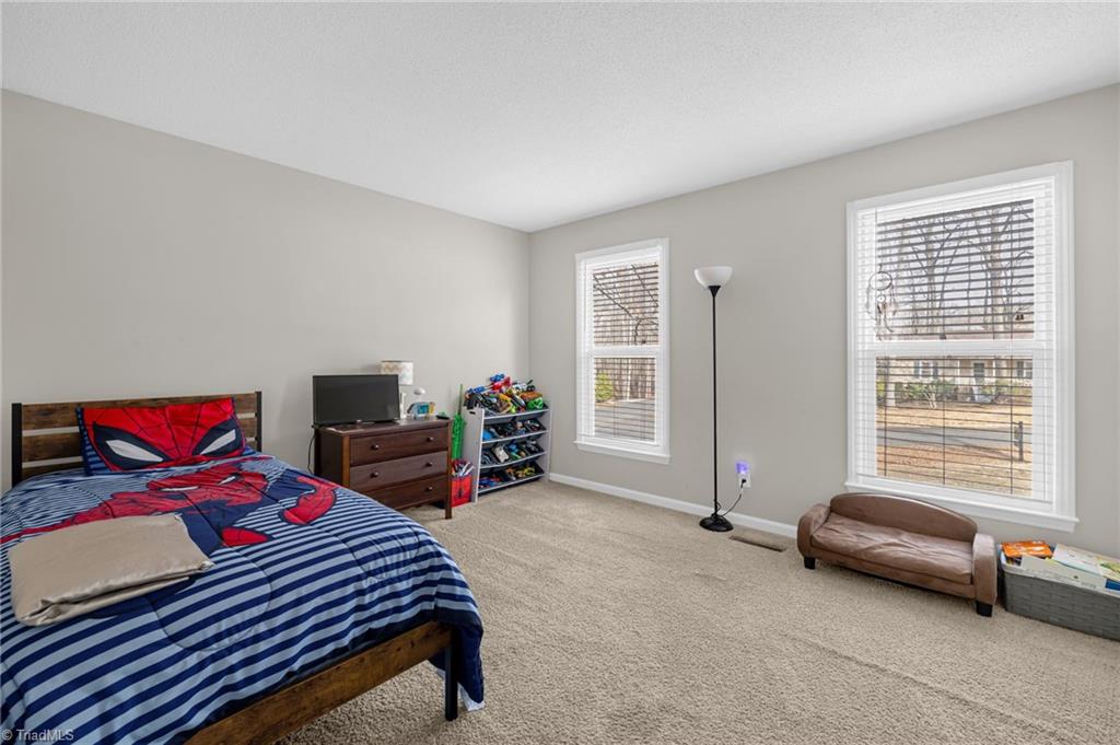 5222 Shaddowfax Drive