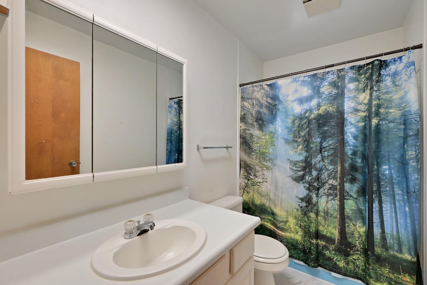 Bathroom with a white vanity, mirrored medicine cabinet, and forest-print shower curtain.