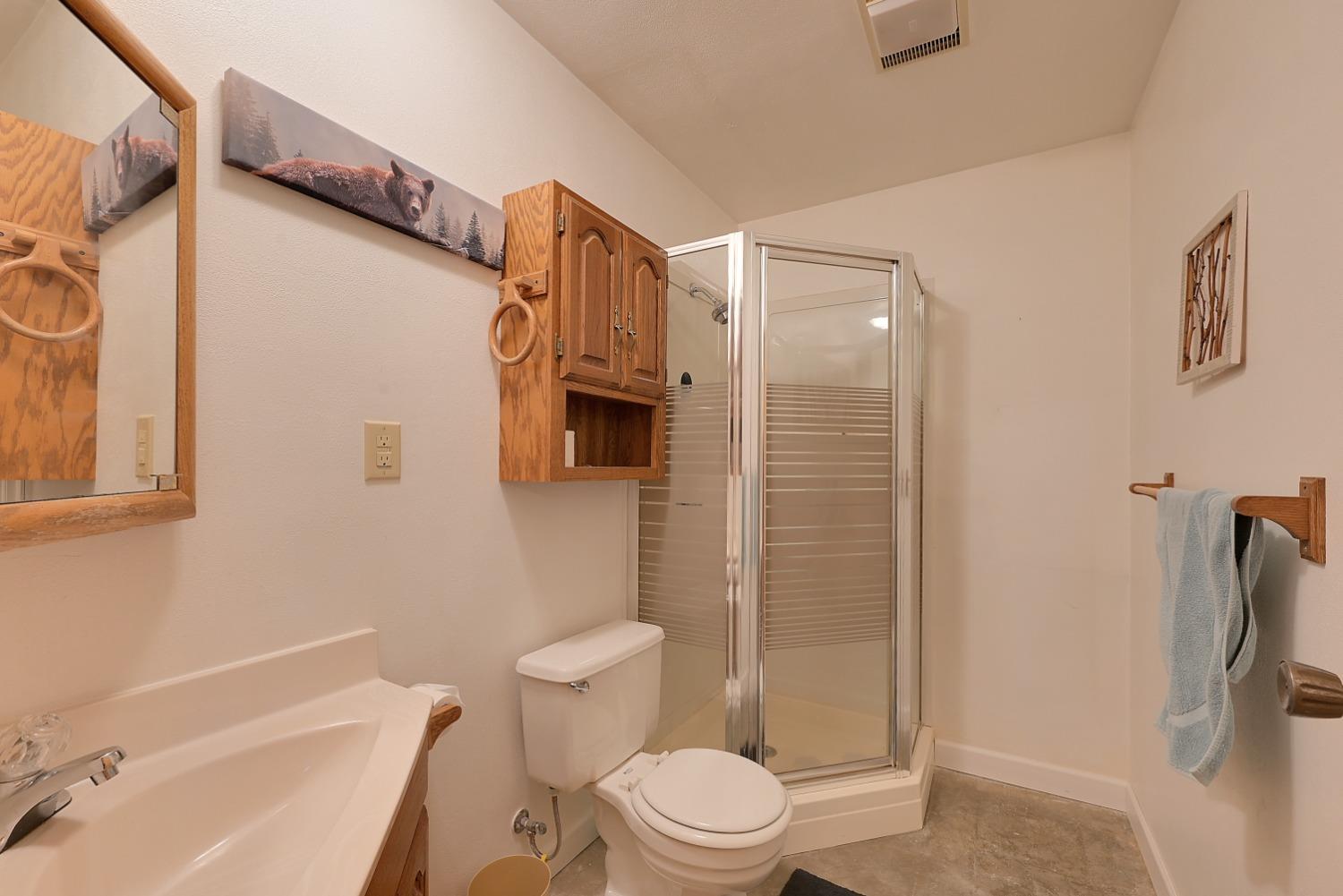Bathroom with a glass shower enclosure, wooden storage cabinet, and sink vanity.