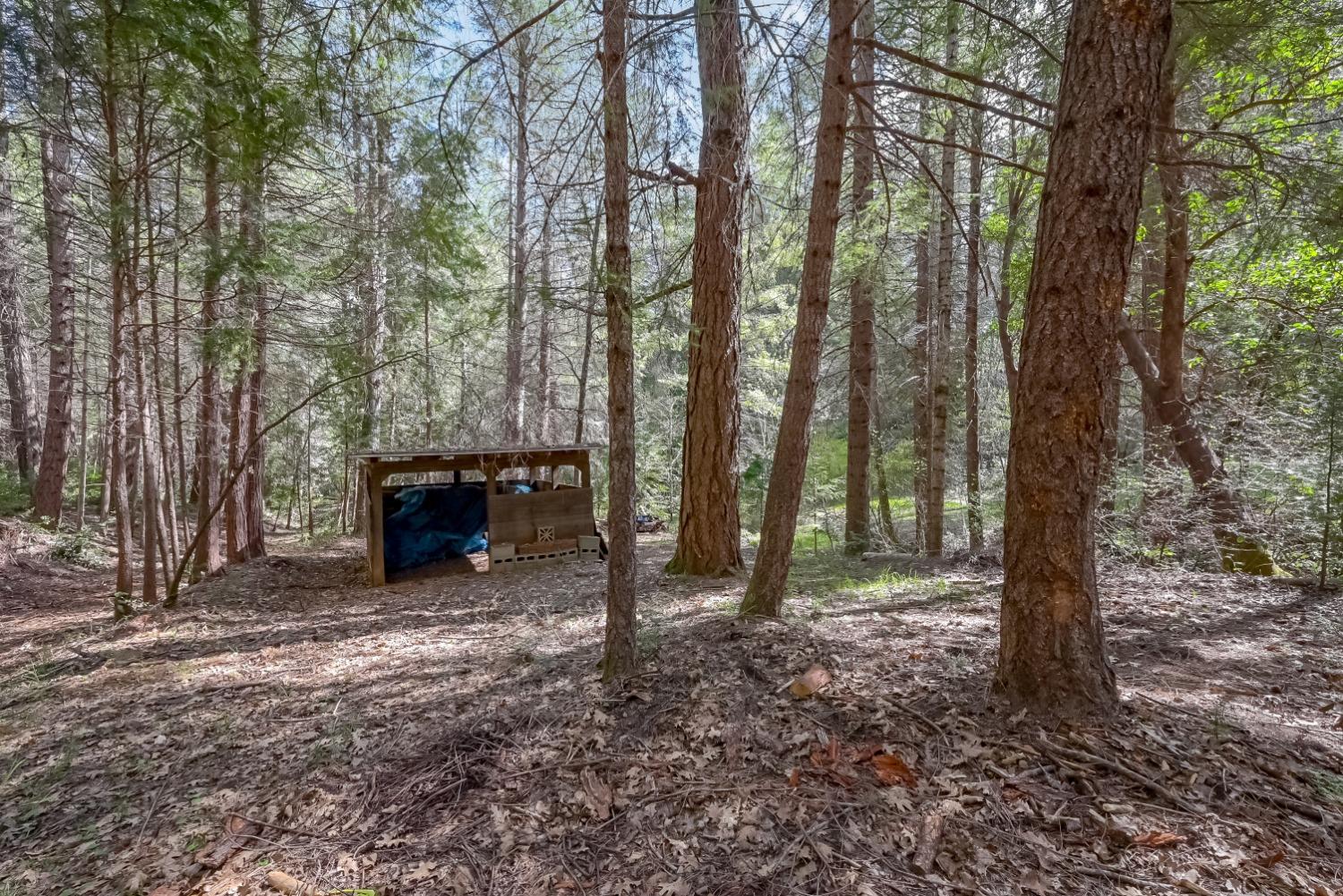 Wooded property with tall trees and a small open-sided storage shelter.