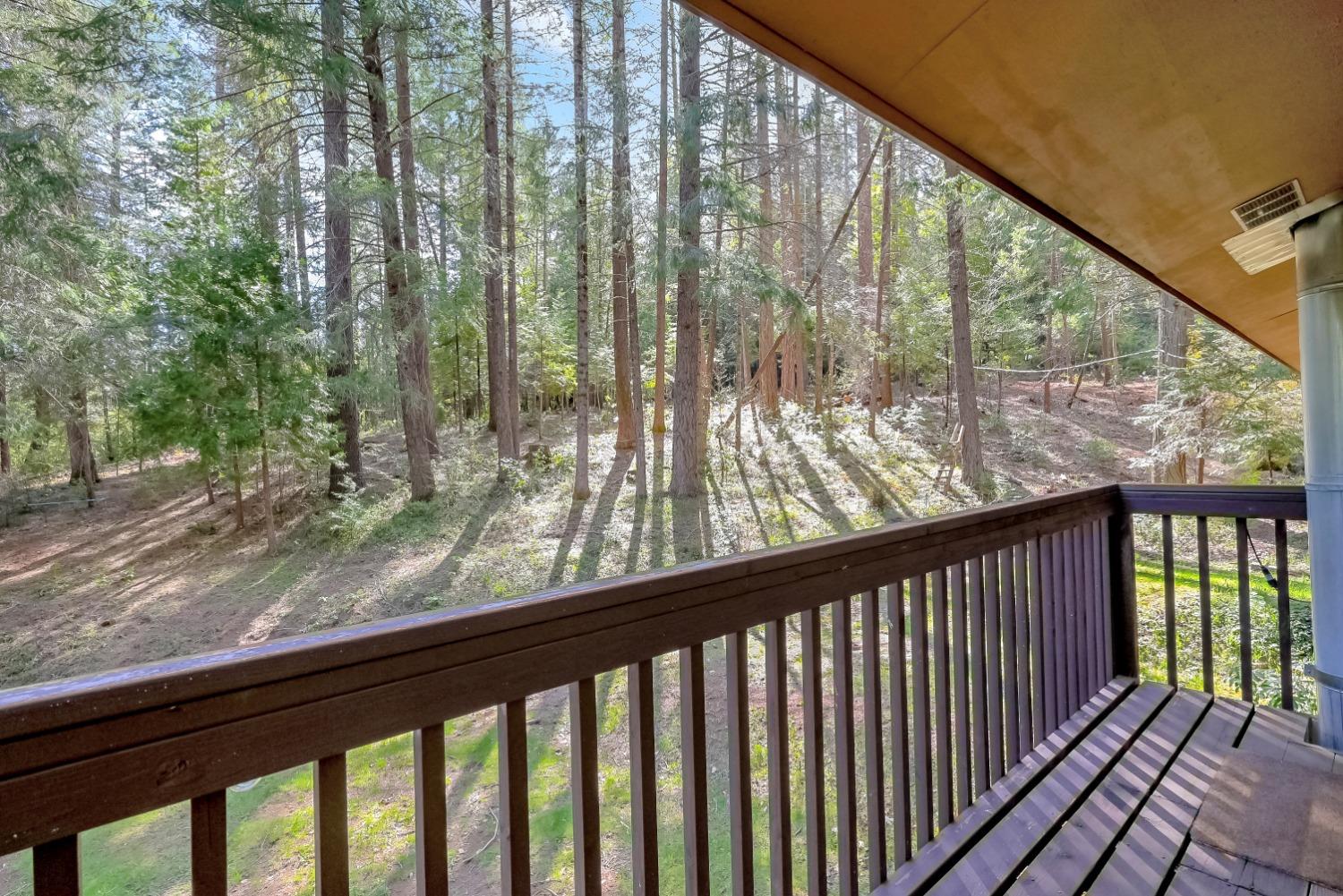 Covered wooden deck overlooking a sunlit forest of tall trees, with dark railings and a built-in bench.