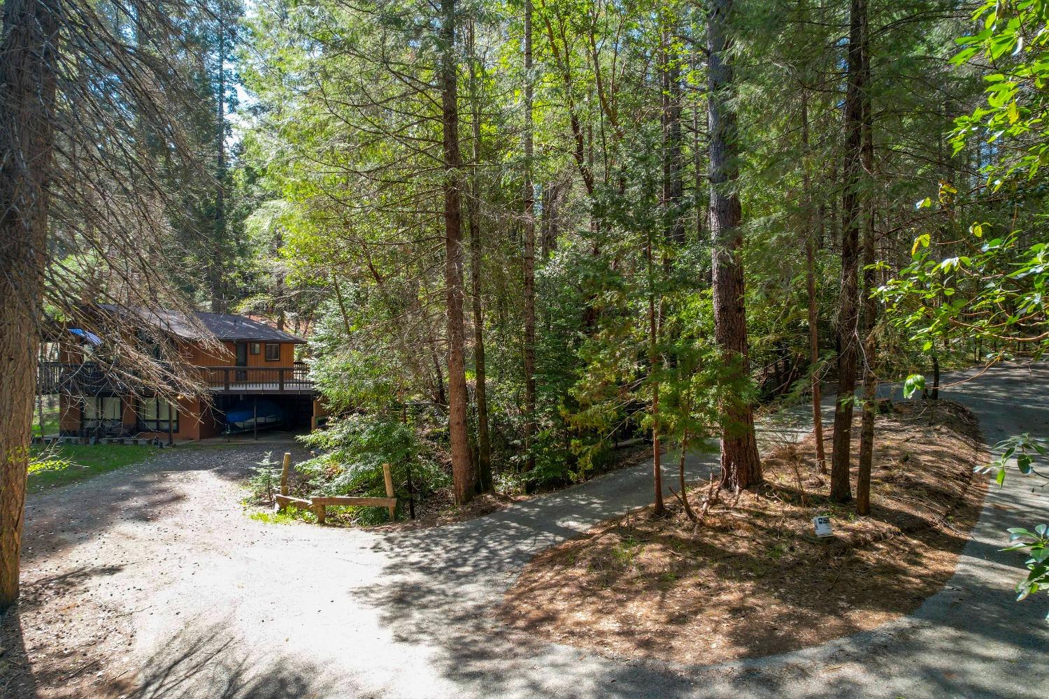 Brown home with a raised deck nestled among tall trees beside a winding driveway.