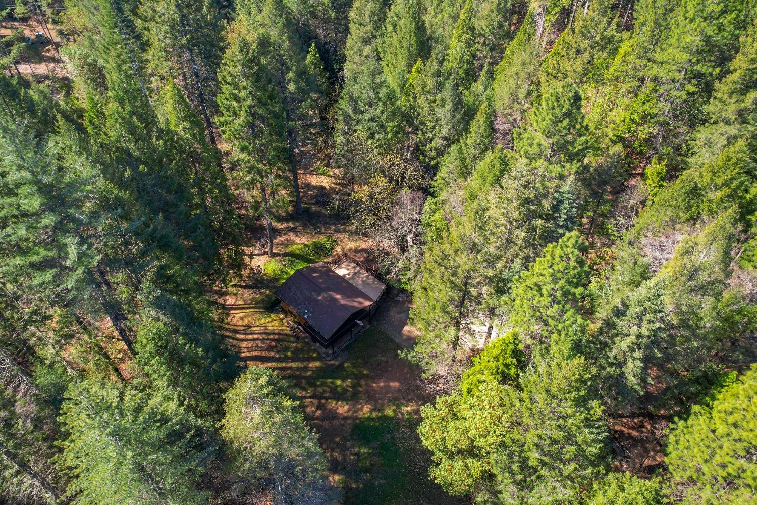 Aerial view of a dark-roofed house in a wooded clearing.