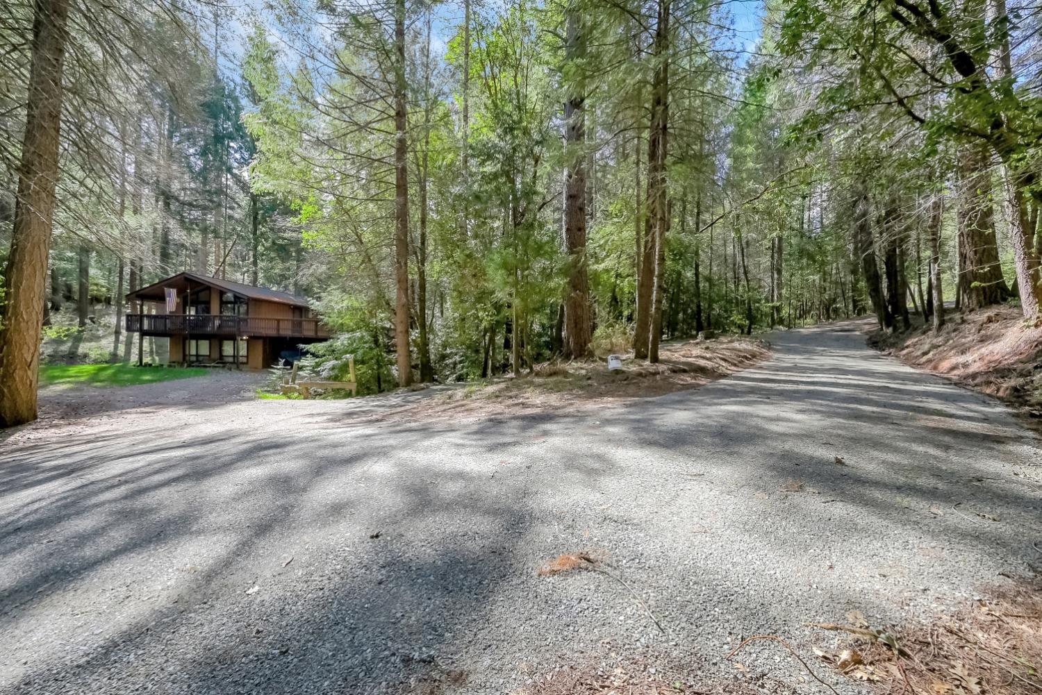 Wooded home with a raised deck beside a gravel driveway through tall evergreens.