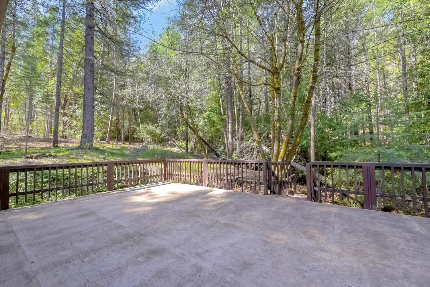 Concrete deck with dark railings overlooking a leafy woodland.