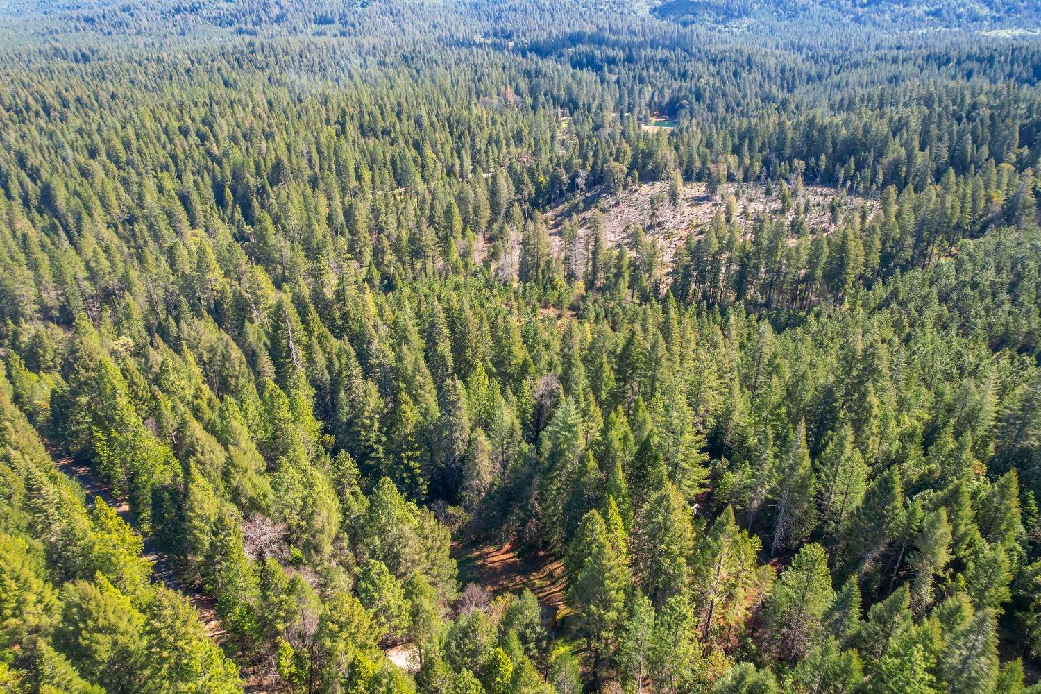 Aerial view of forested land with a broad rocky clearing amid dense trees.