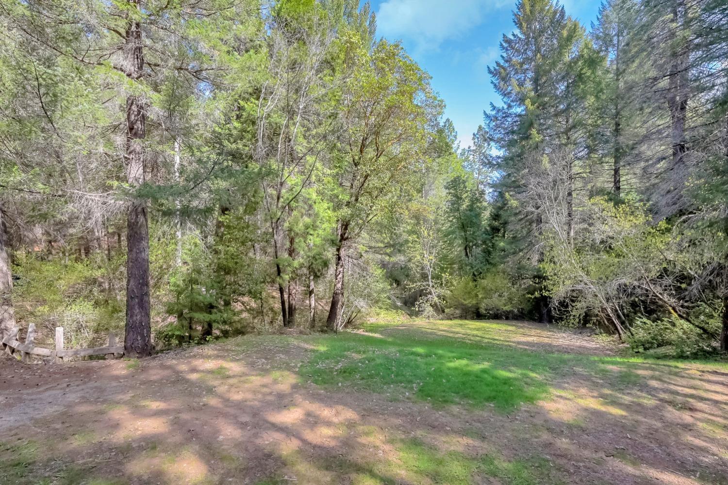 Wooded property clearing with a grassy lawn and rustic fence.