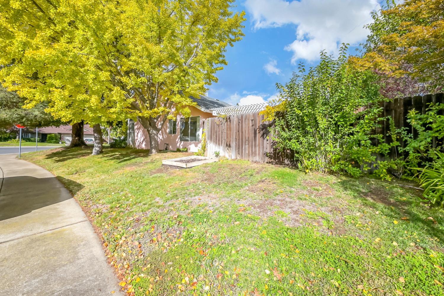 590 Teesdale Road