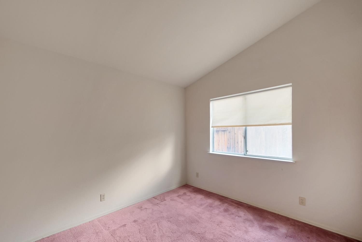 590 Teesdale Road